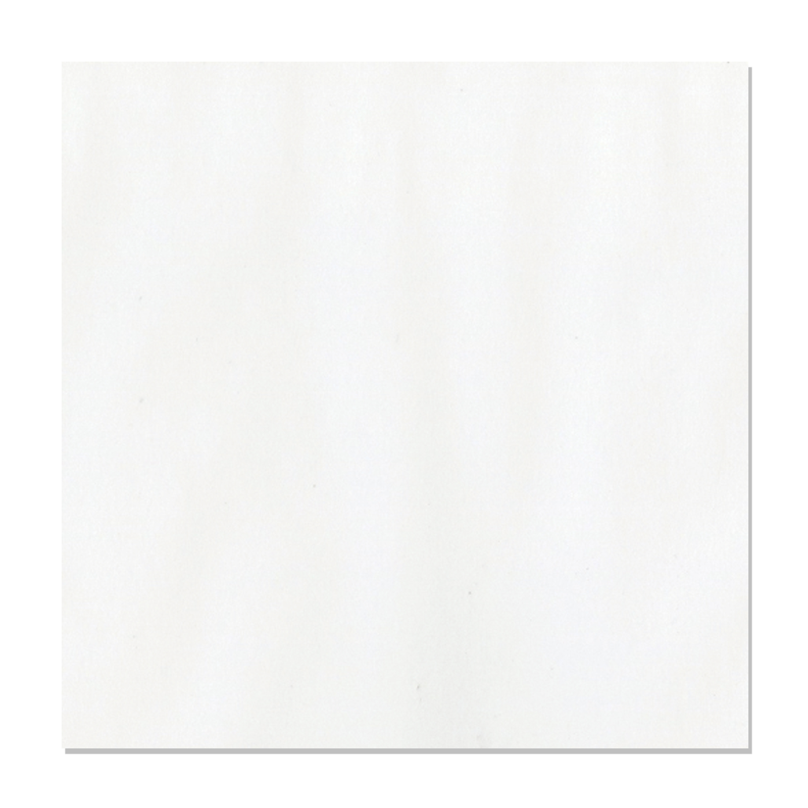 Bazzill • Vellum 12x12" white 40lb