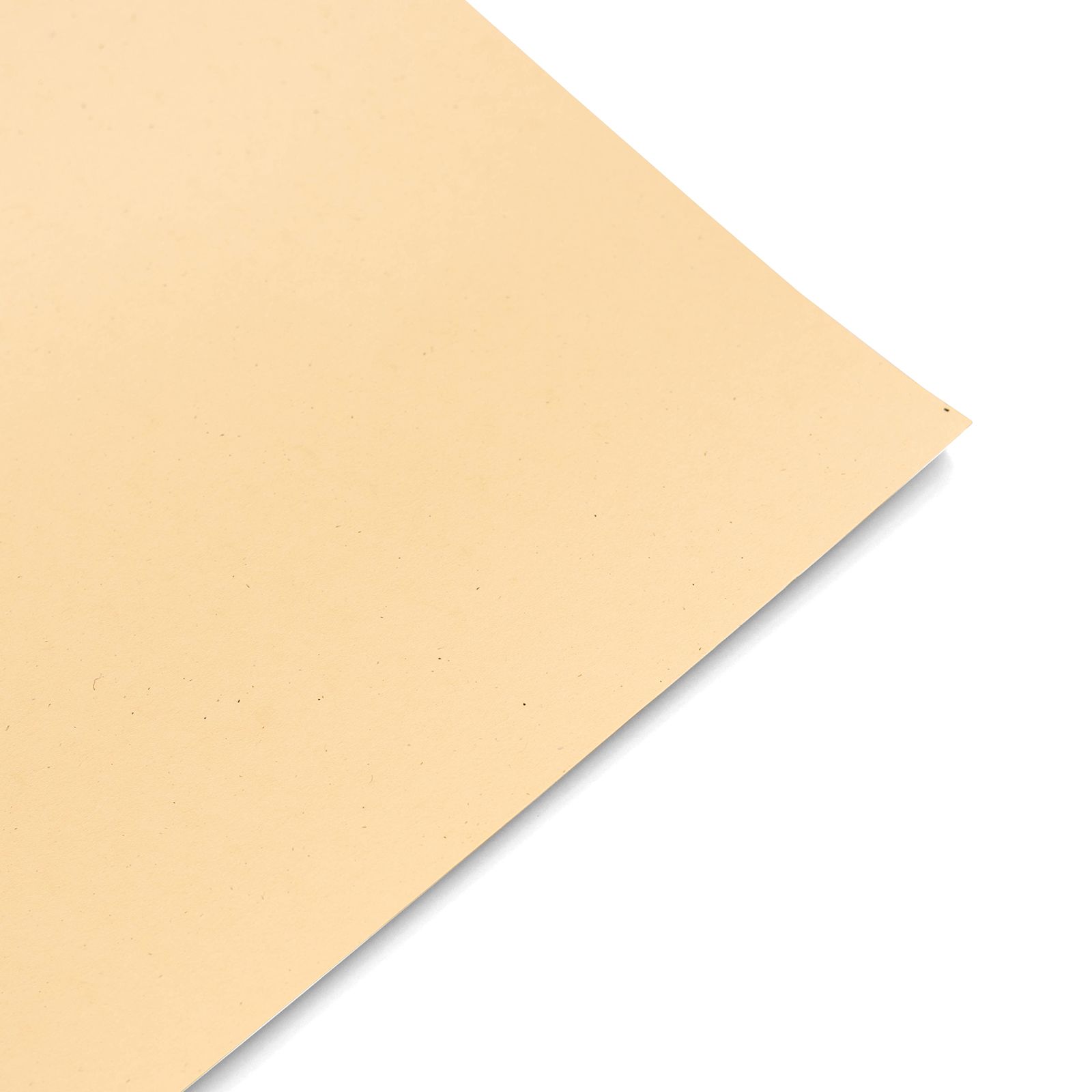 Desert Storm Brown Card Stock - 12 x 12 Environment Smooth 80lb Cover