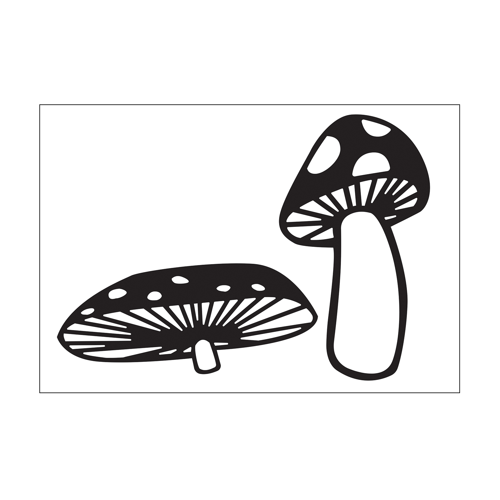 Darice • Embossing folder Mushrooms
