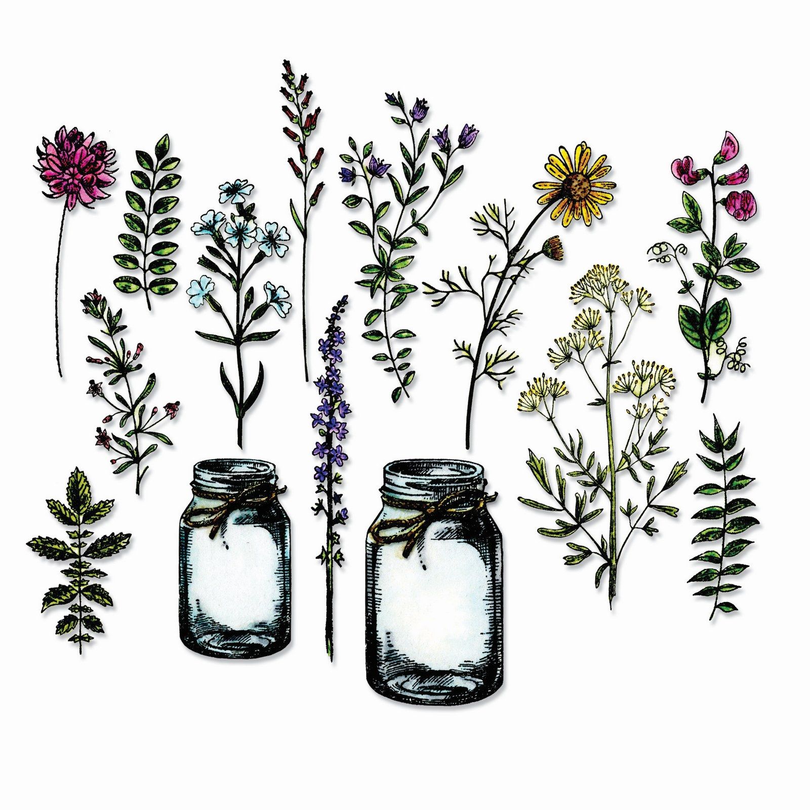 Sizzix • Tim Holtz Framelits Die Set Flower Jar 16pcs