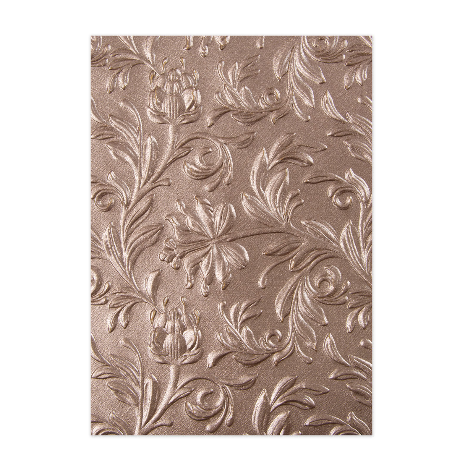 Sizzix • 3-D Texture Fades Embossing Folder Botanical by Tim Holtz