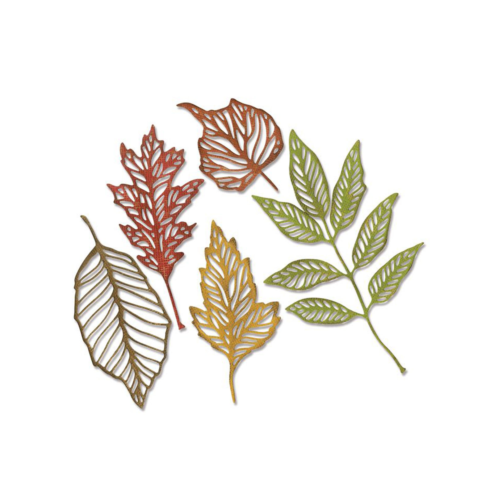 Sizzix • Thinlits snijmal geraamte van bladeren