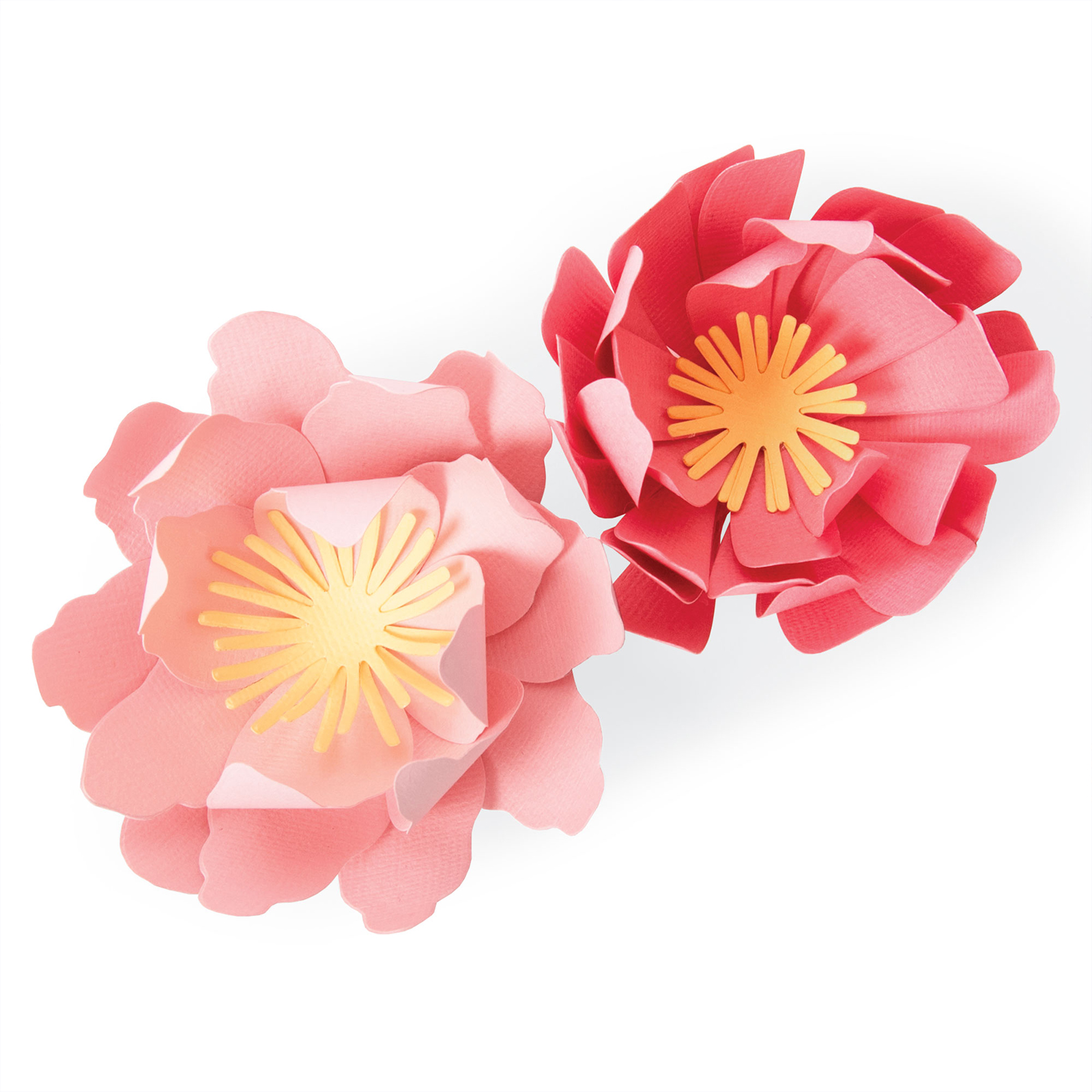 Sizzix • Bigz Die Summer Blooms by Jennifer Ogborn
