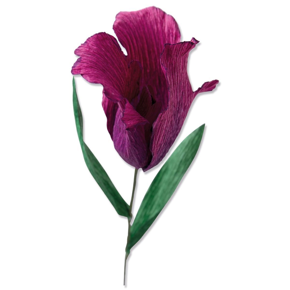 Sizzix • Thinlits die set Fringed tulip