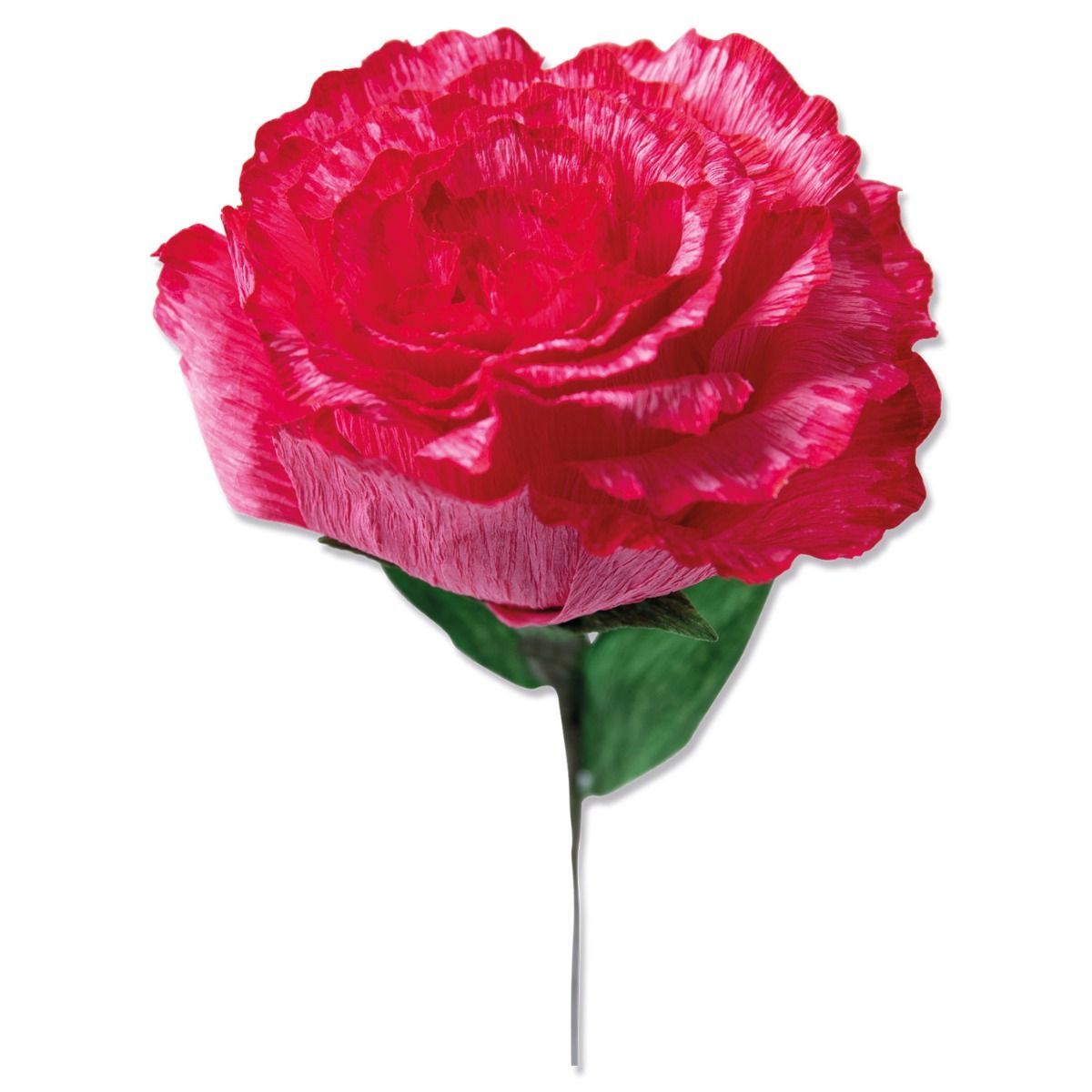 Sizzix • Thinlits Die Set 4PK Carnation by Olivia Rose