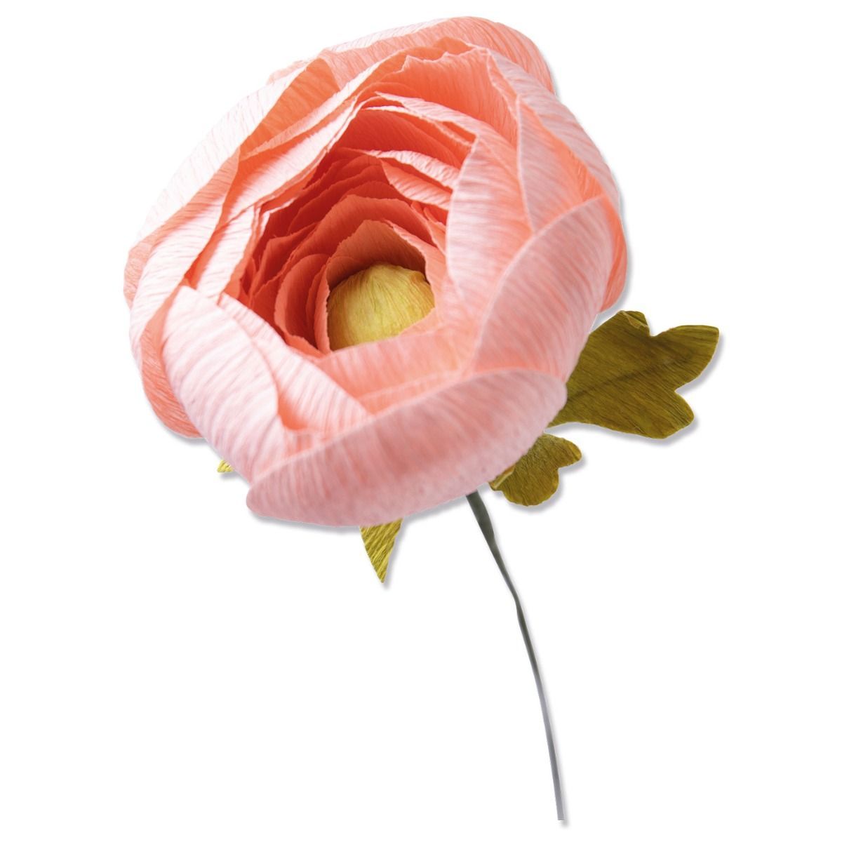 Sizzix • Thinlits Die Set 5PK Ranunculus by Olivia Rose
