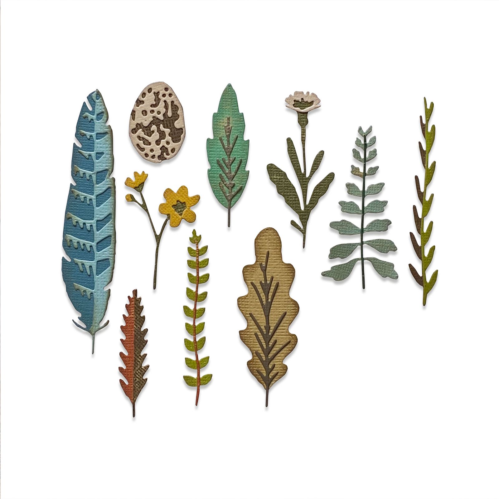 Sizzix • Tim Holtz Thinlits Stanzschablonen Funky Nature 10pcs