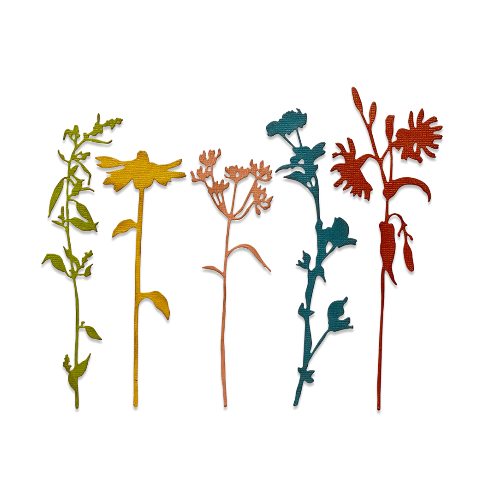 Sizzix • Tim Holtz Thinlits Die Set Wildflower Stems #3 5pcs