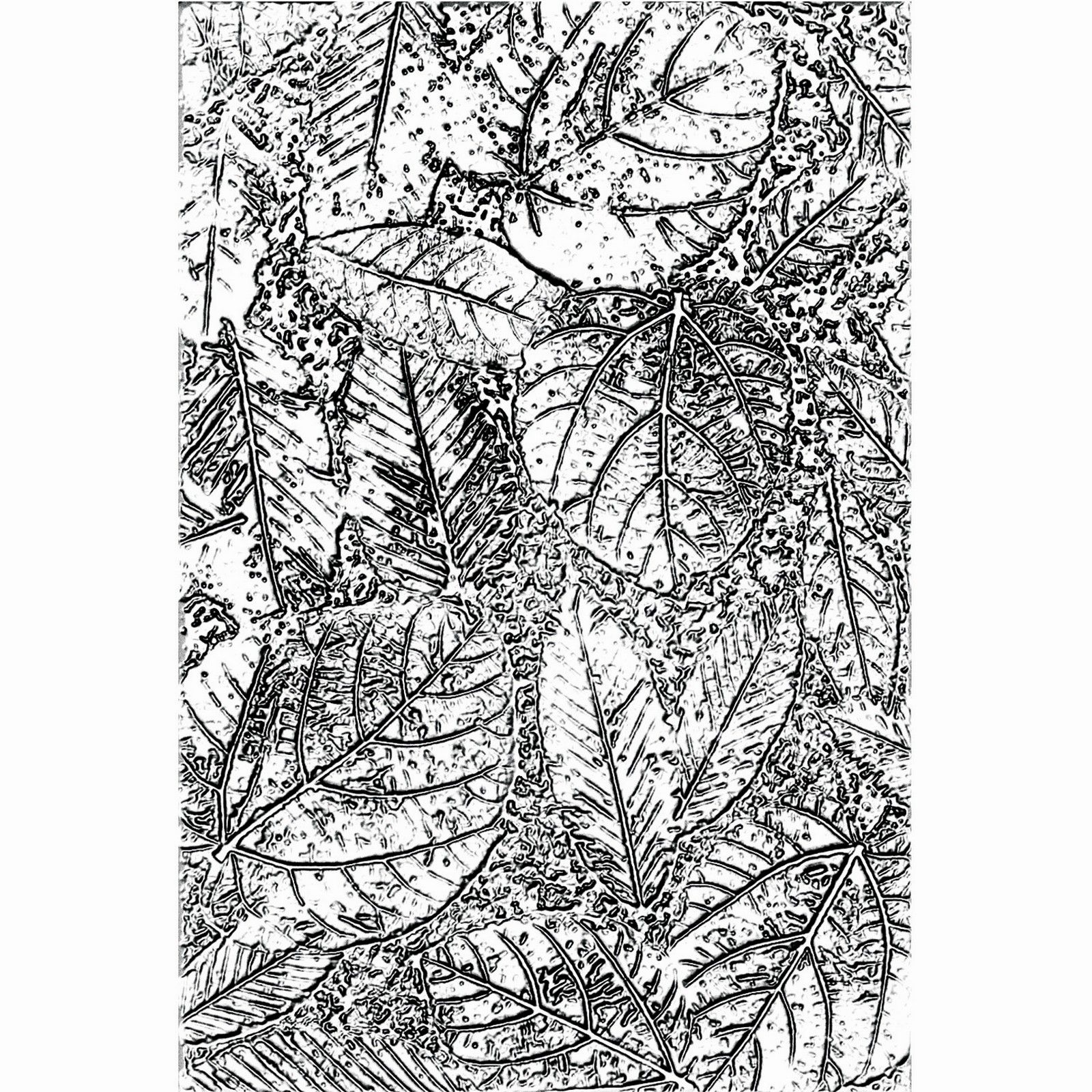Sizzix • Tim Holtz 3-D Texture Fades Embossing Folder Foliage
