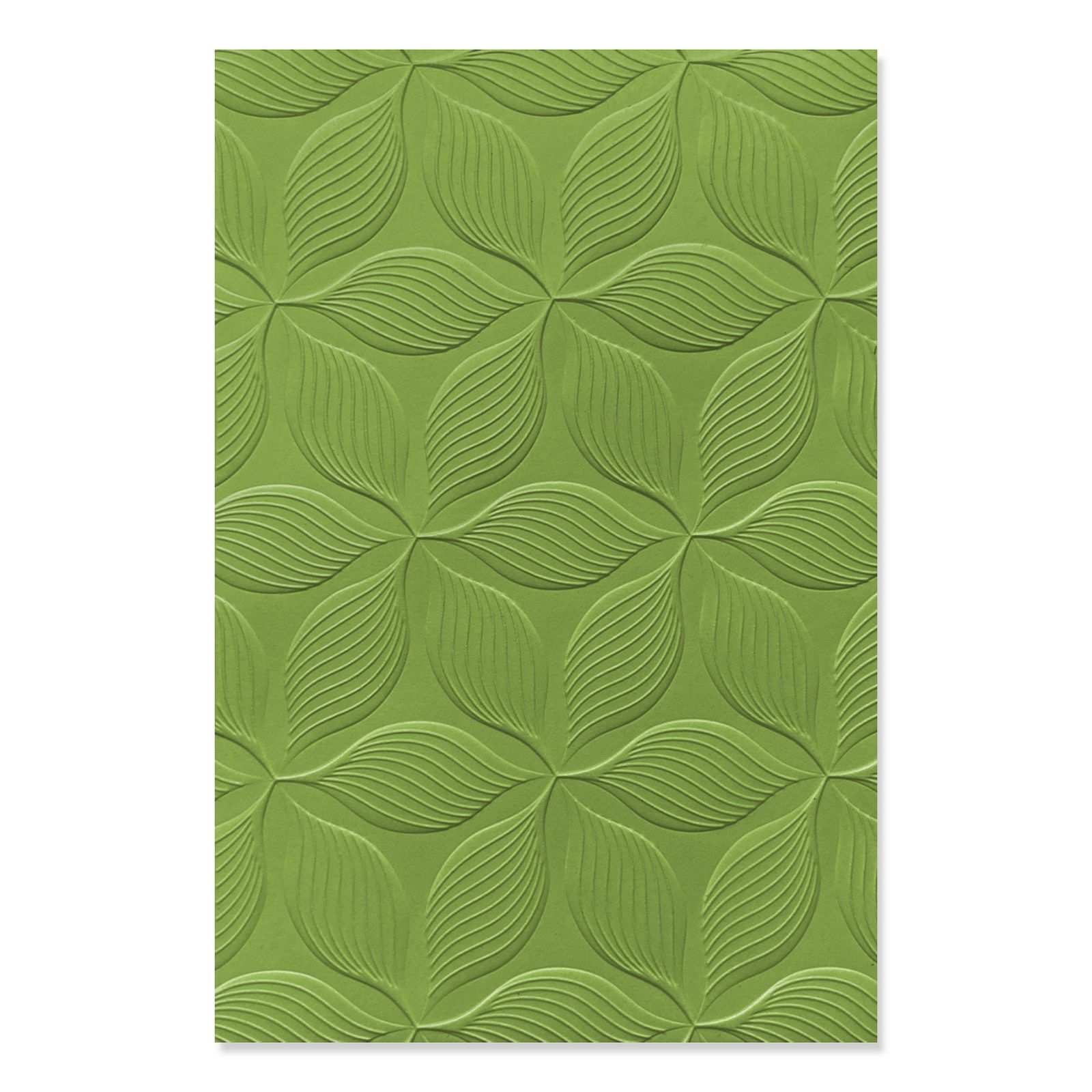 Sizzix • 3D Textured Impressions Embossing Folder Defined Petals