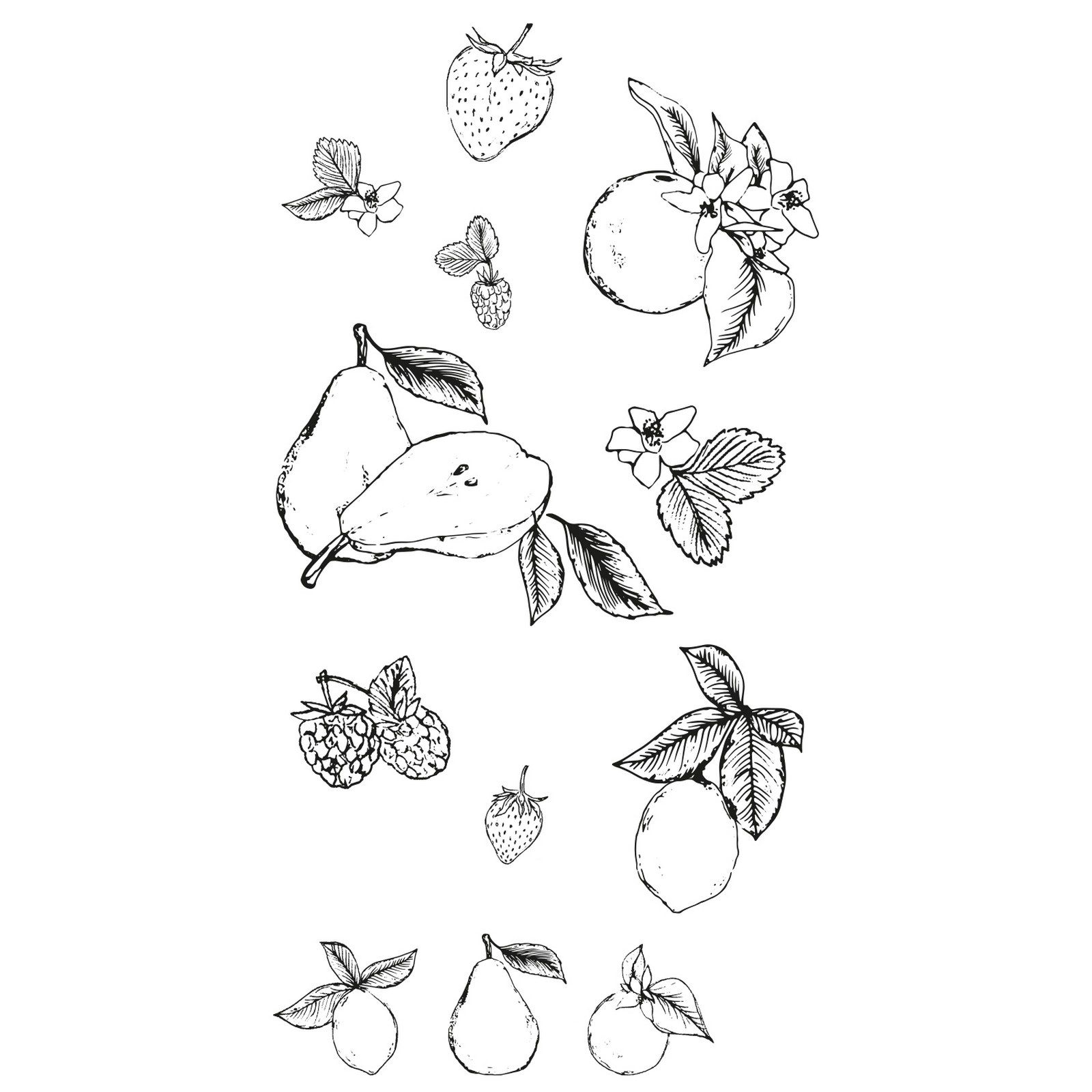 Sizzix • Clear Stamp Set Botanical Fruit 19pcs