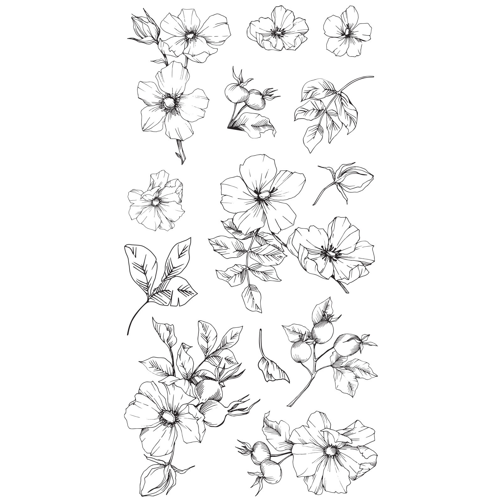 Sizzix • Clear Stamps Set 13pcs Wildflower Botanicals
