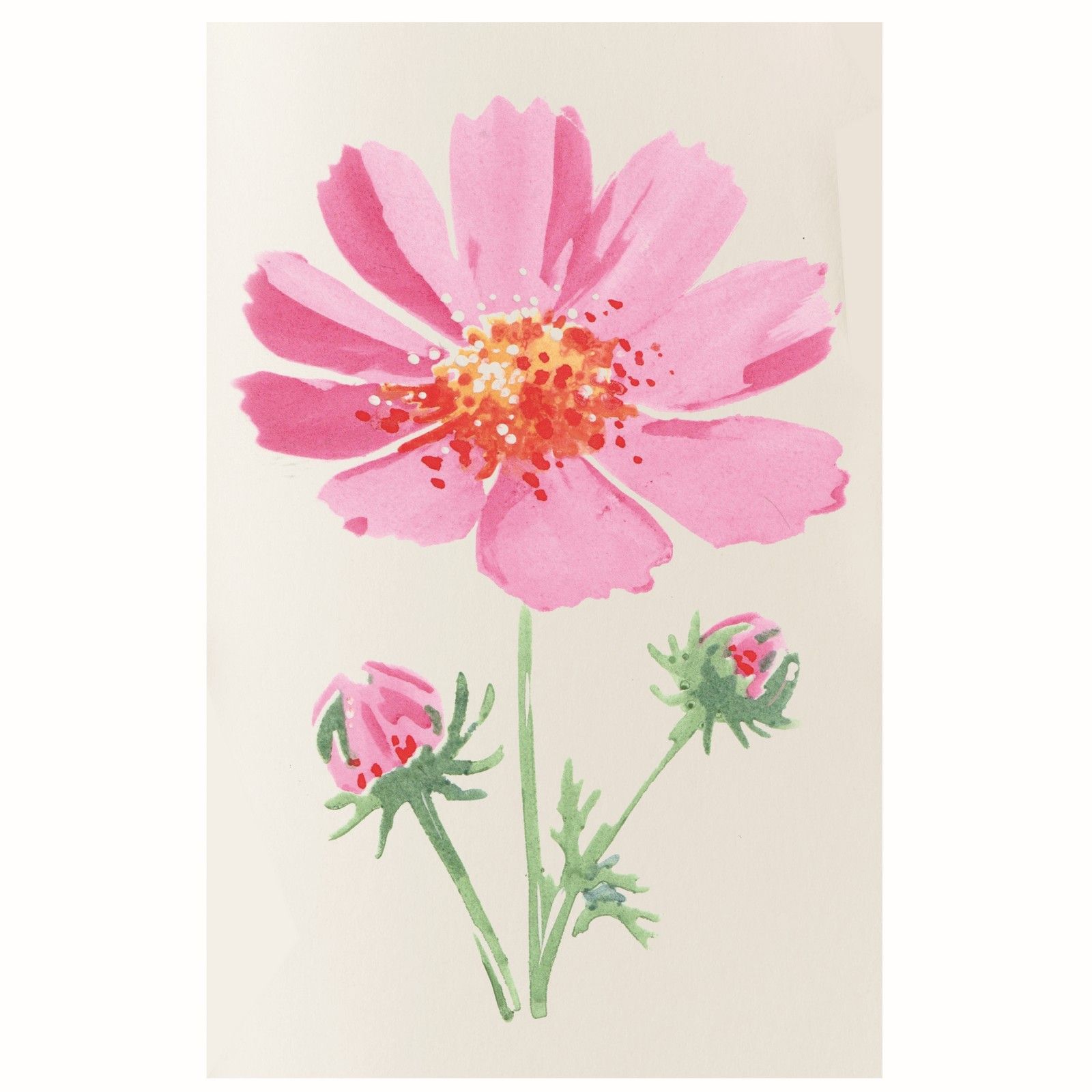  Sizzix • Layered Stencils 4pcs Cosmo by Willow Wolfe