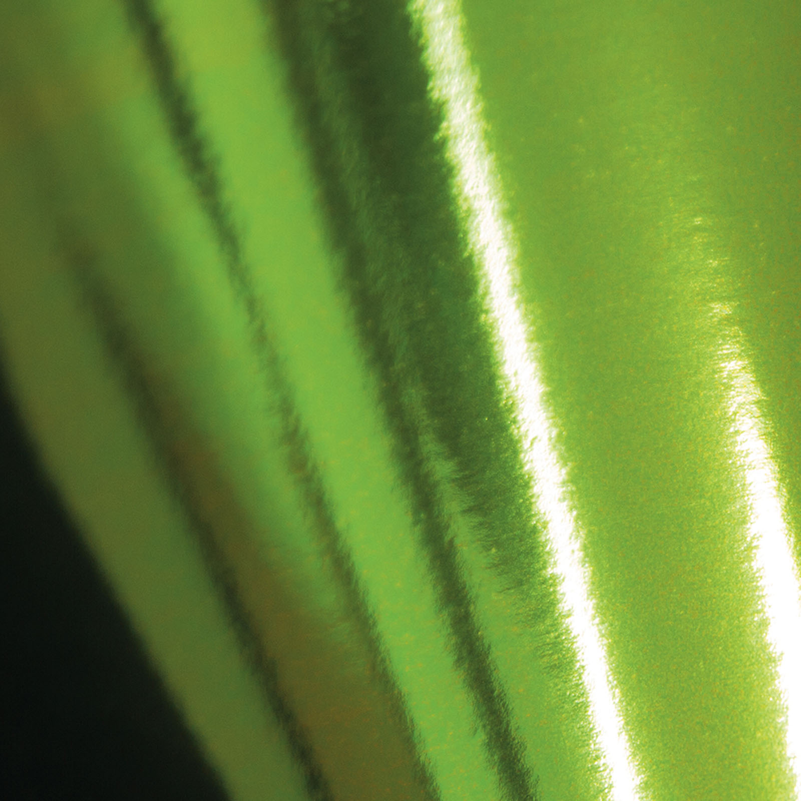 Tonic Studios • Spiegelkarte gloss A4 x5 Emerald green