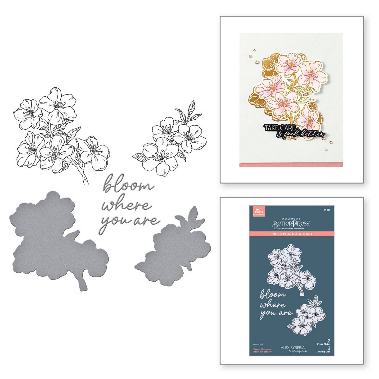 Spellbinders • Alex Syberia BetterPress Letterpress Press Plate & Snijmal Set Cherry Blossoms 5st.