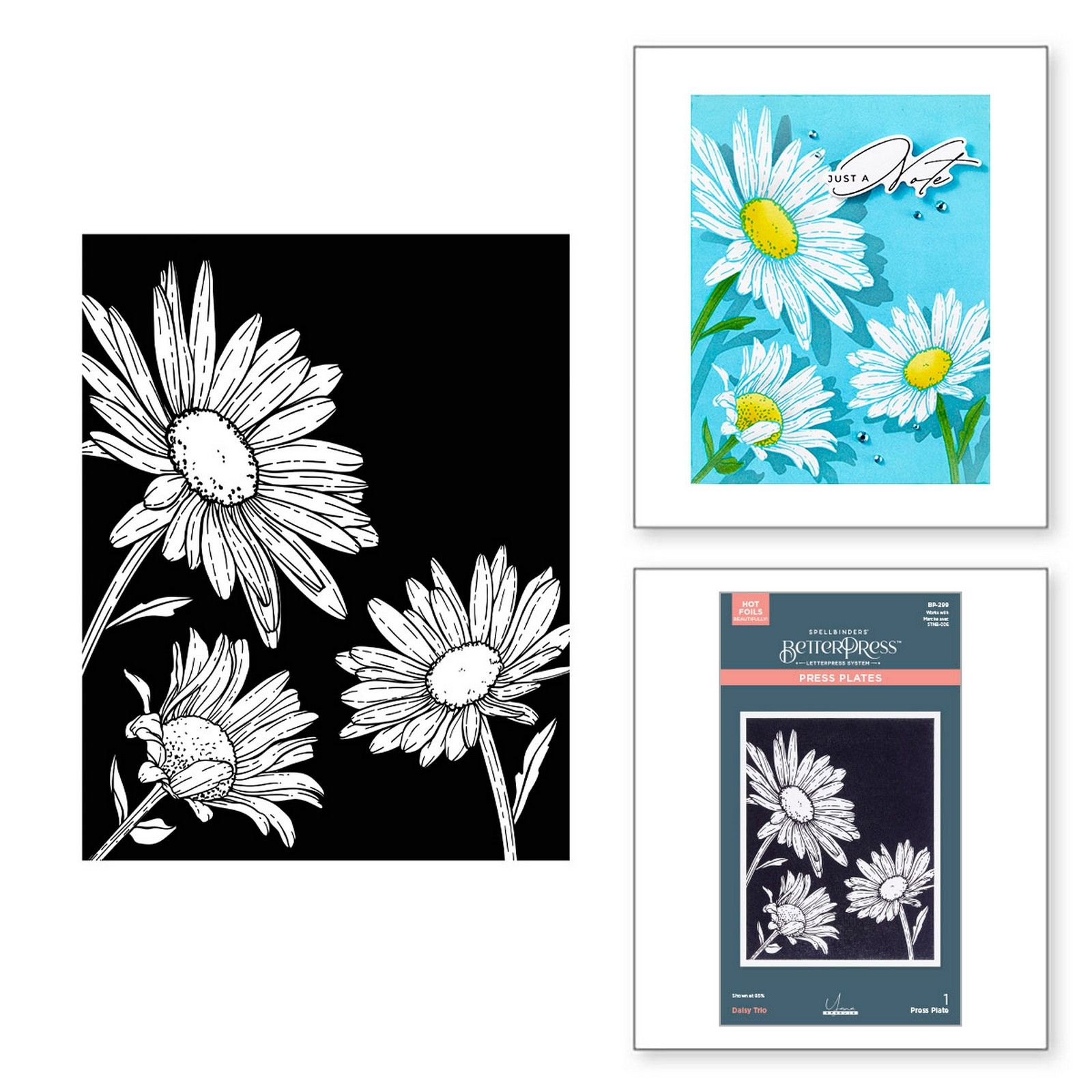 Spellbinders • BetterPress Letterpress Drukplaat Daisy Trio 11,1x14,3cm