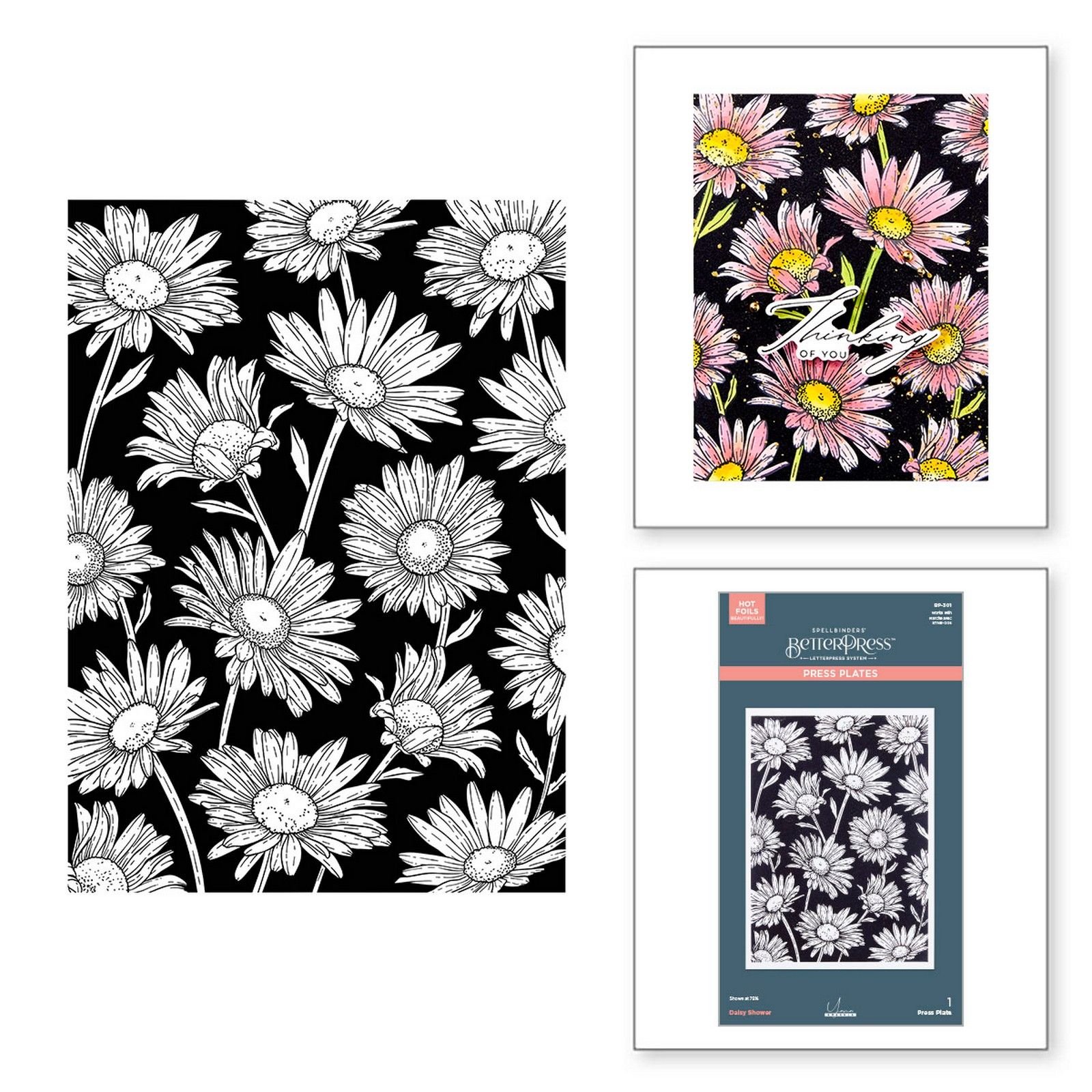 Spellbinders • BetterPress Letterpress Press Plate Daisy Shower 13x18,1cm