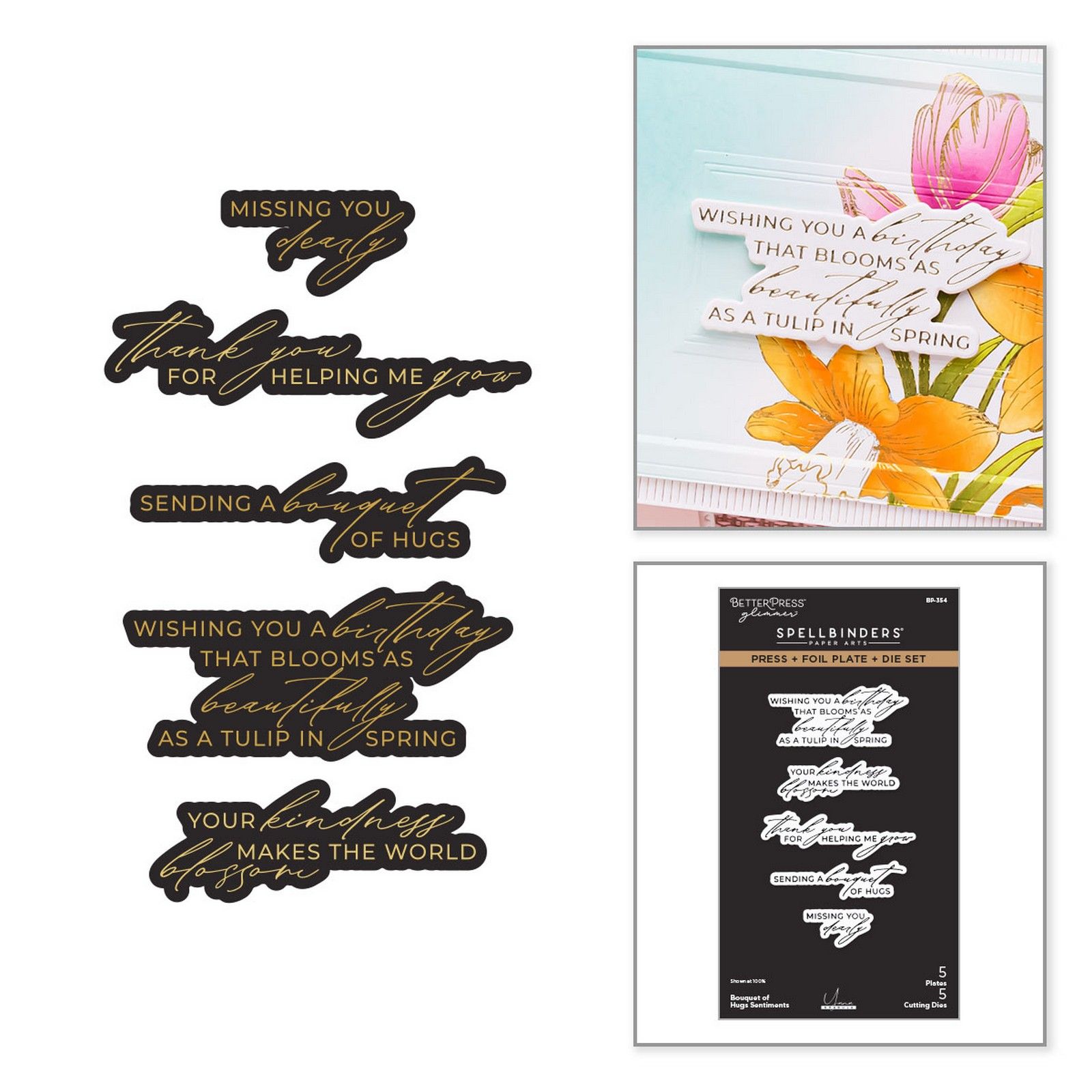 Spellbinders • BetterPress Letterpress Press Plate & Matrices de Découpe Bouquet of Hugs Sentiments 10pcs