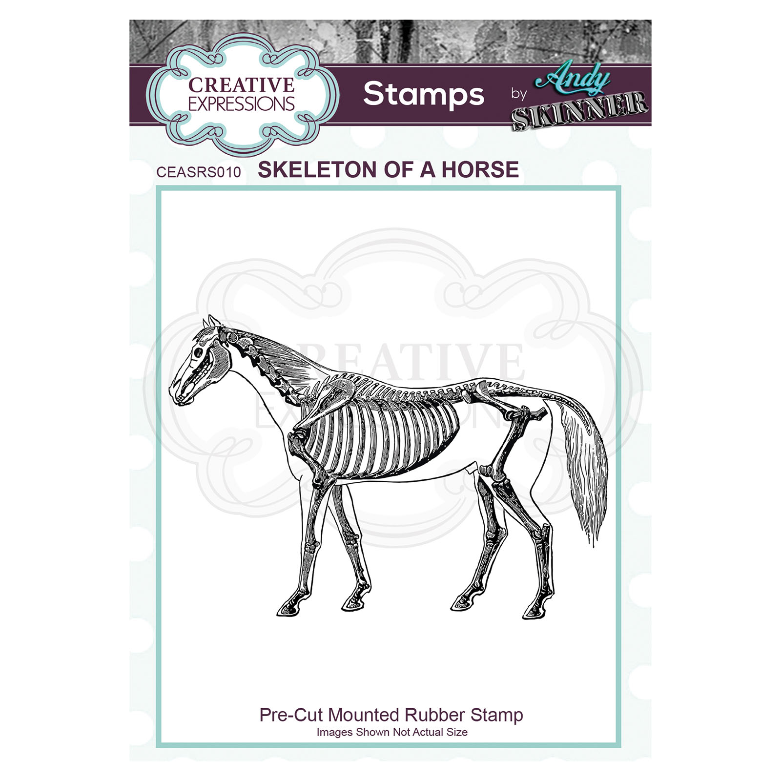 Creative Expressions • Pre Cut Rubber Stamp Andy Skinner Skeleton Horse