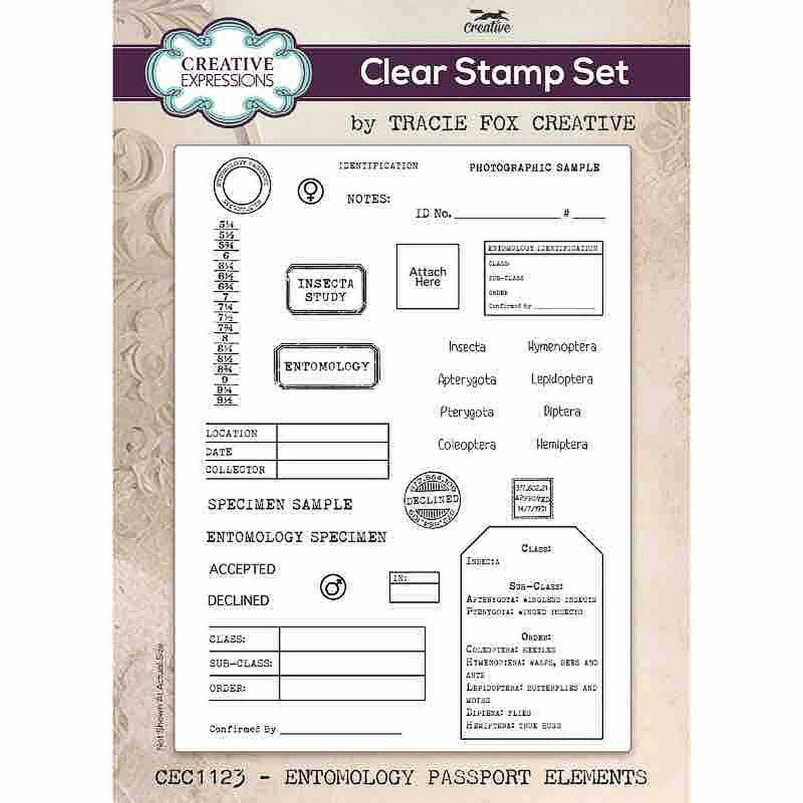 Creative Expressions • Tracie Fox Entomology Passport Elements 6 in x 8 in Clear Stamp Set