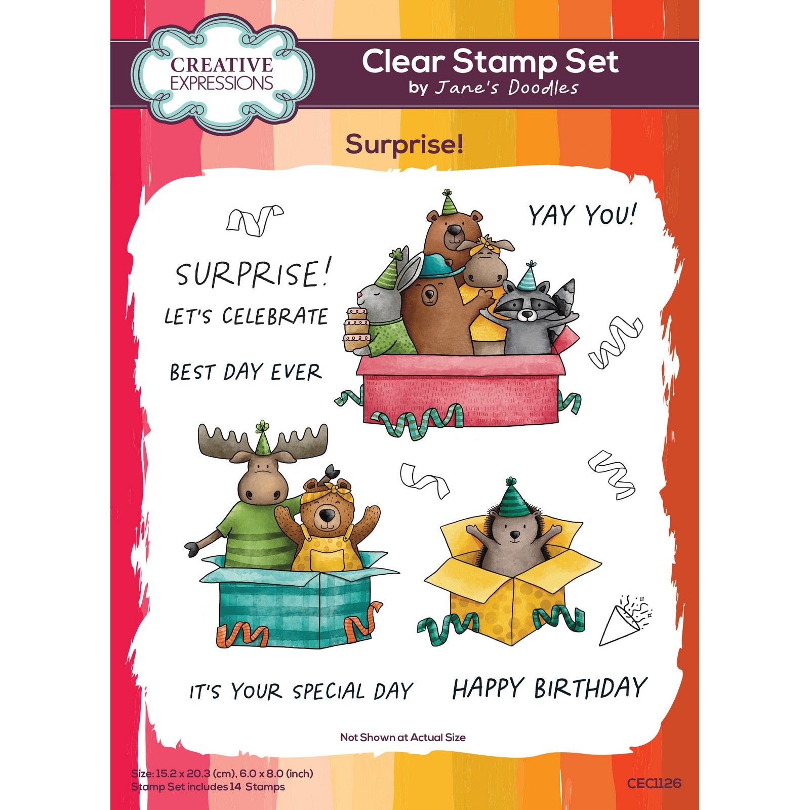 Creative Expressions • Jane's Doodles Surprise! 6 in x 8 in Clear Stamp Set