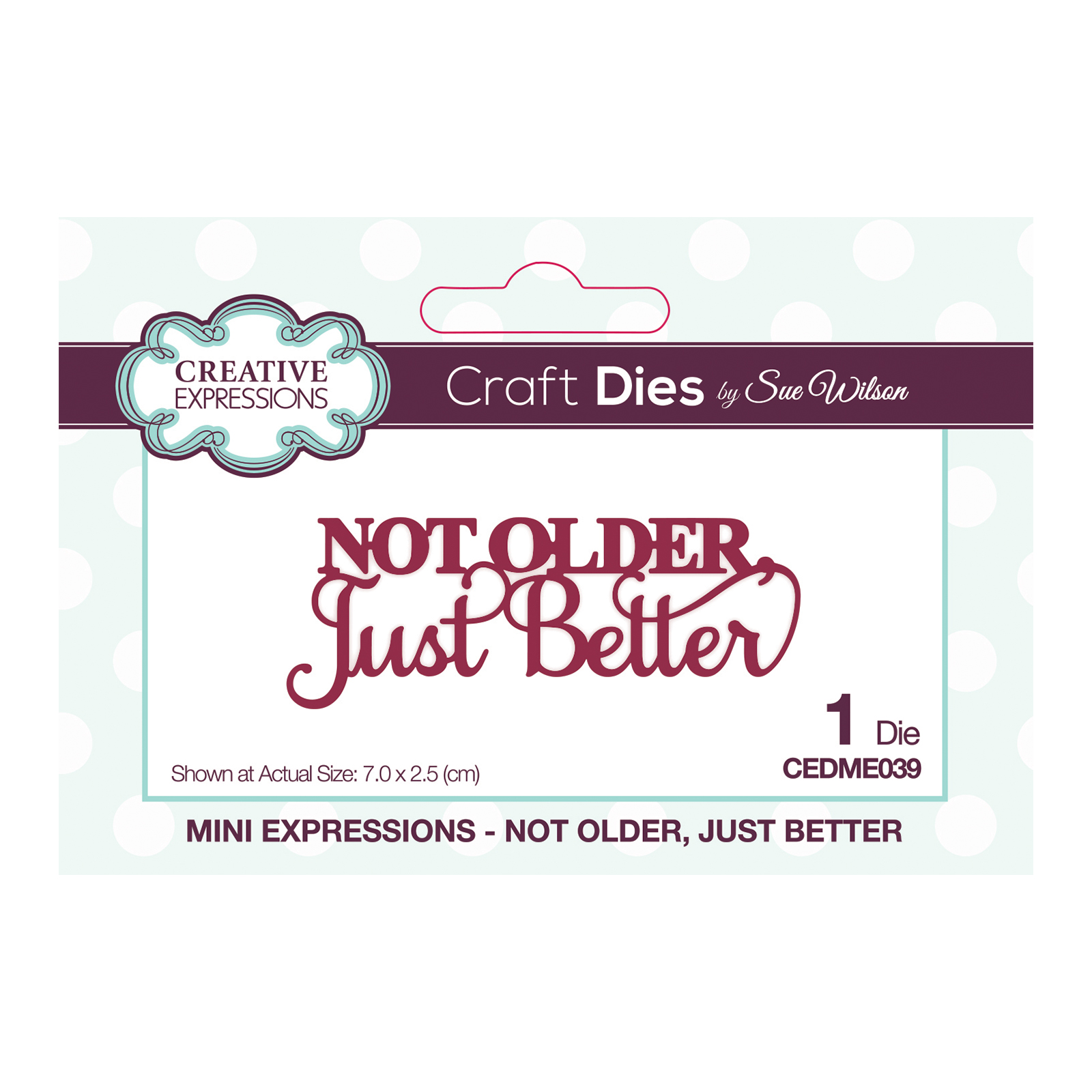 Creative Expressions • Sue Wilson Die Mini Not Older