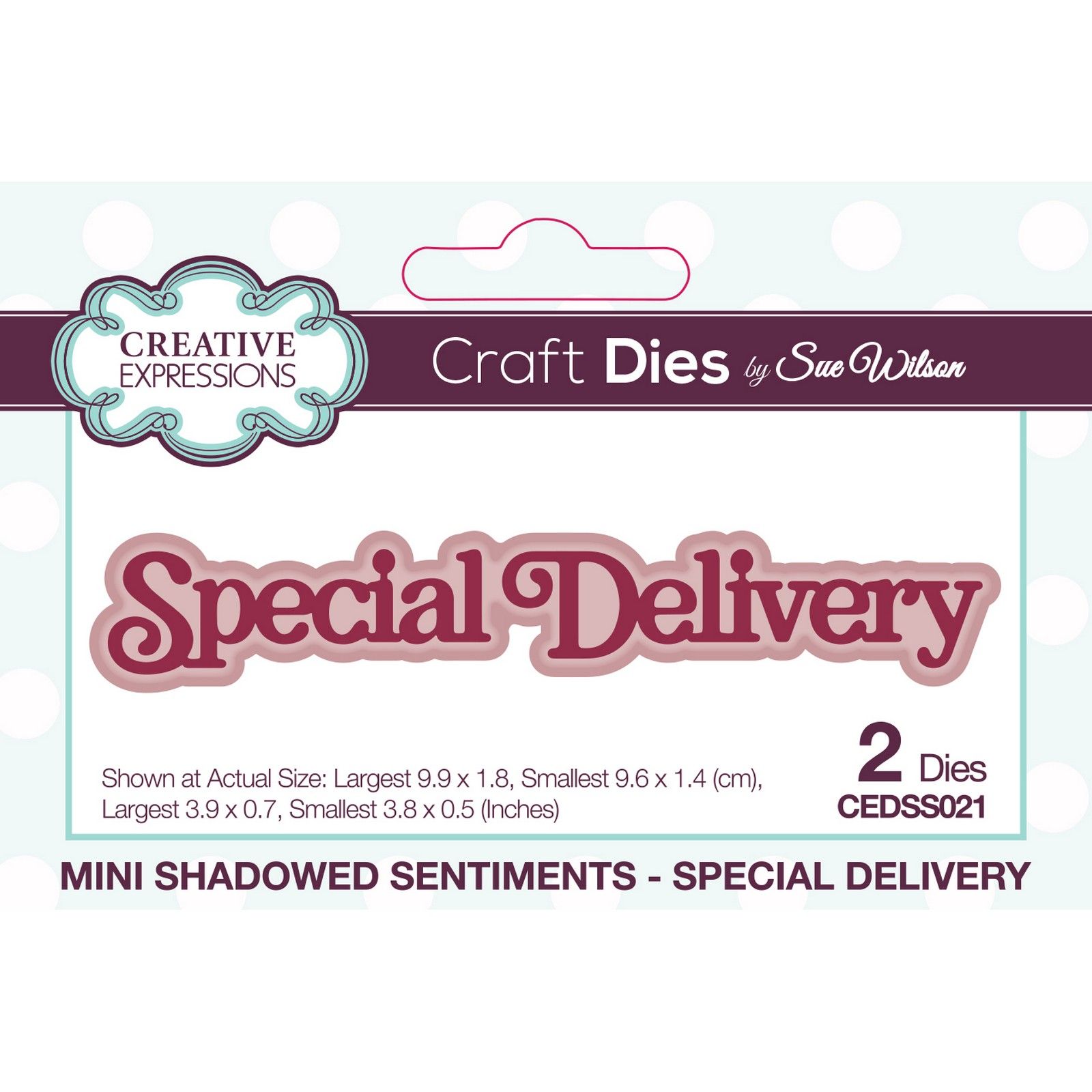 Creative Expressions • Snijmal Mini Shadowed Sentiments Special Delivery