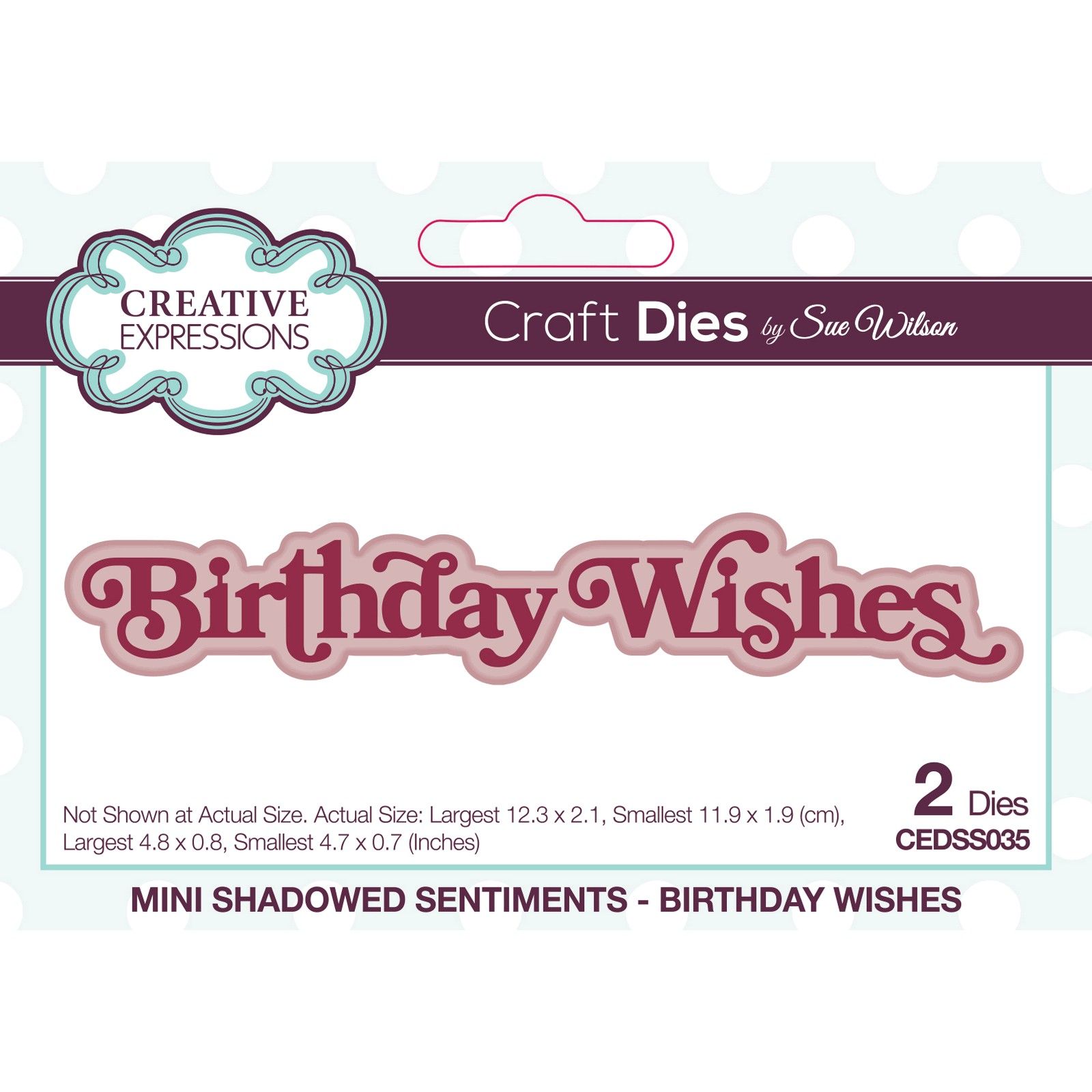 Creative Expressions • Mini Shadowed Sentiments Craft Die Birthday Wishes