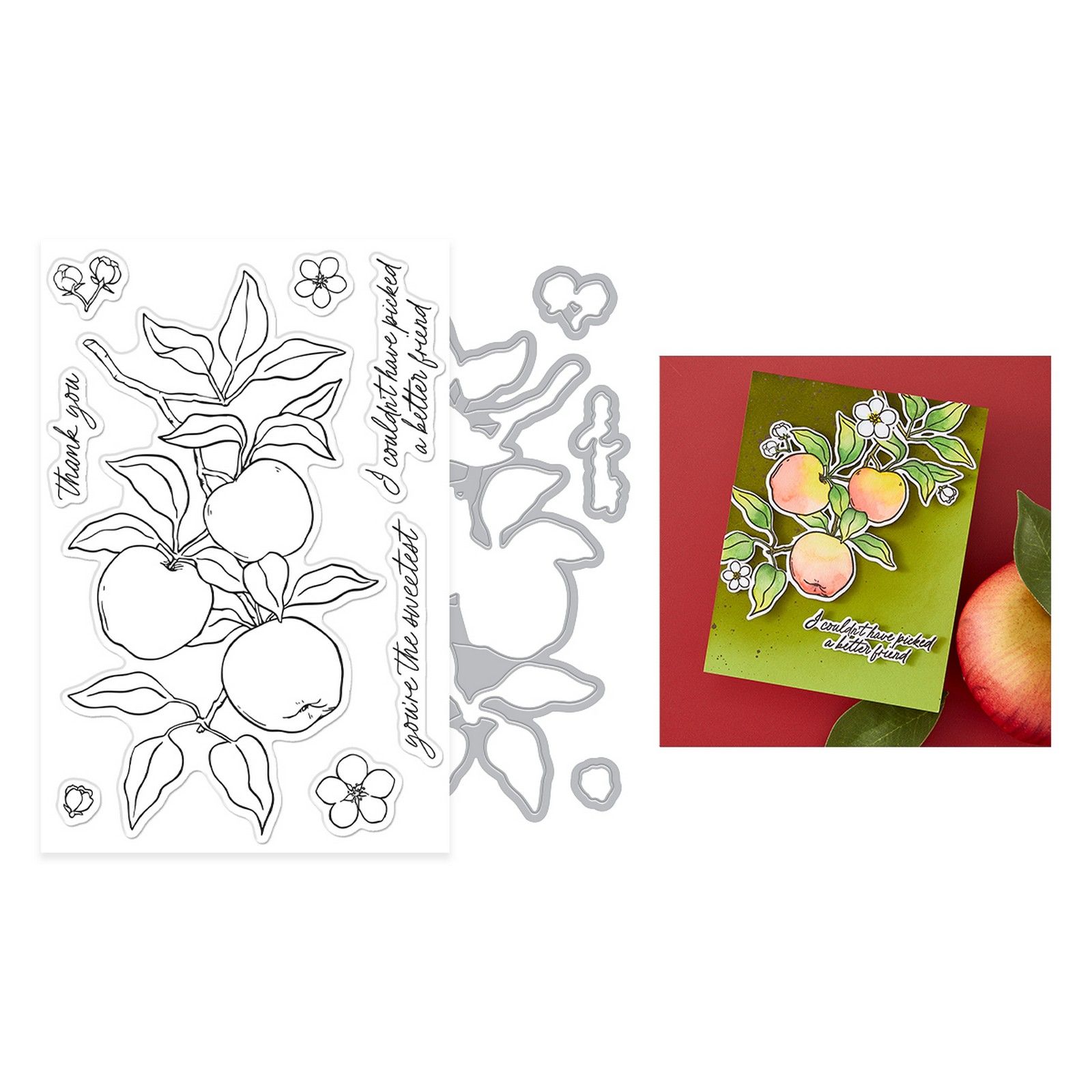 Hero Arts • Stamp & Cut Set Apple Branch 16pz
