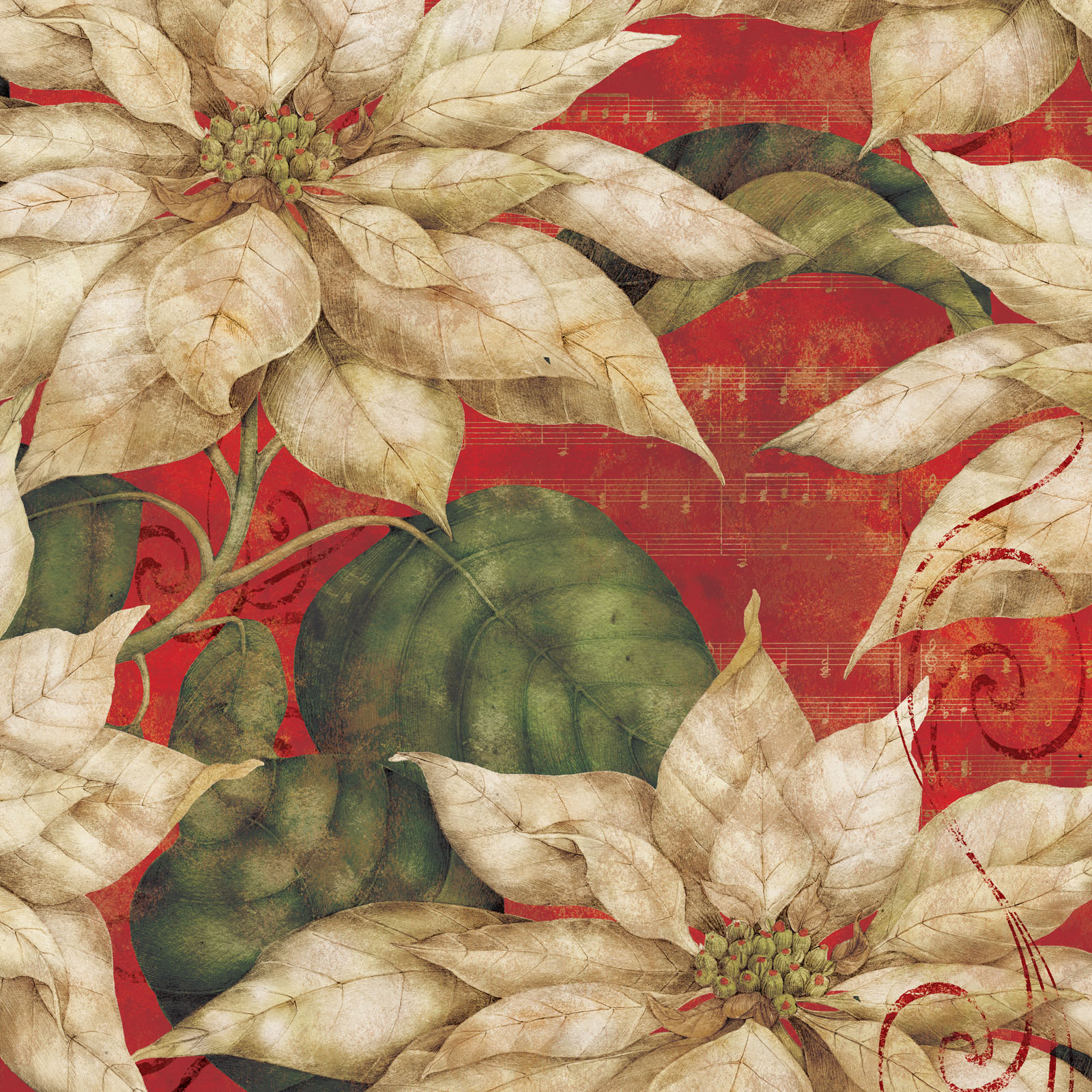 K&Company • Tim Coffey 30,5x30,5cm-12x12" Poinsettia