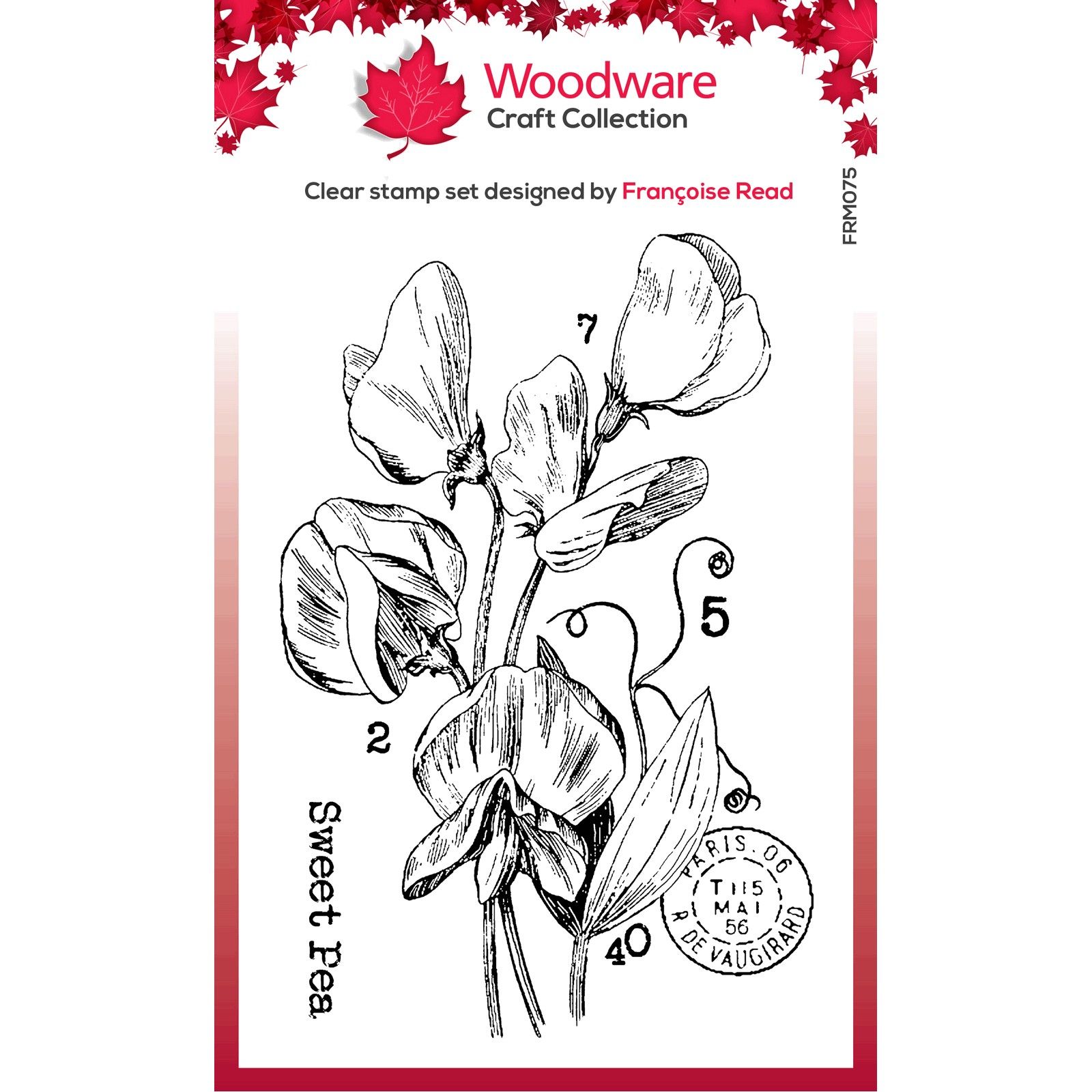 Woodware • Clear Singles Stamp Set Sweet Pea