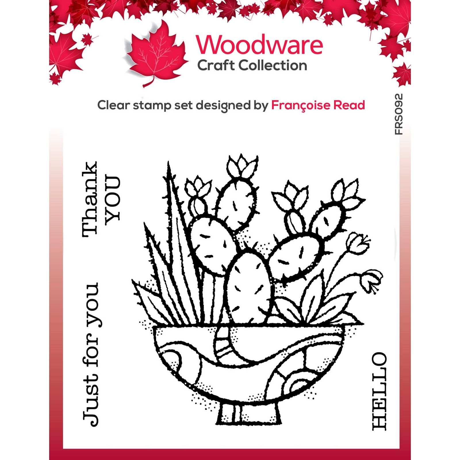 Woodware • Clear singels stamp Succulent display 10,16x10,16cm