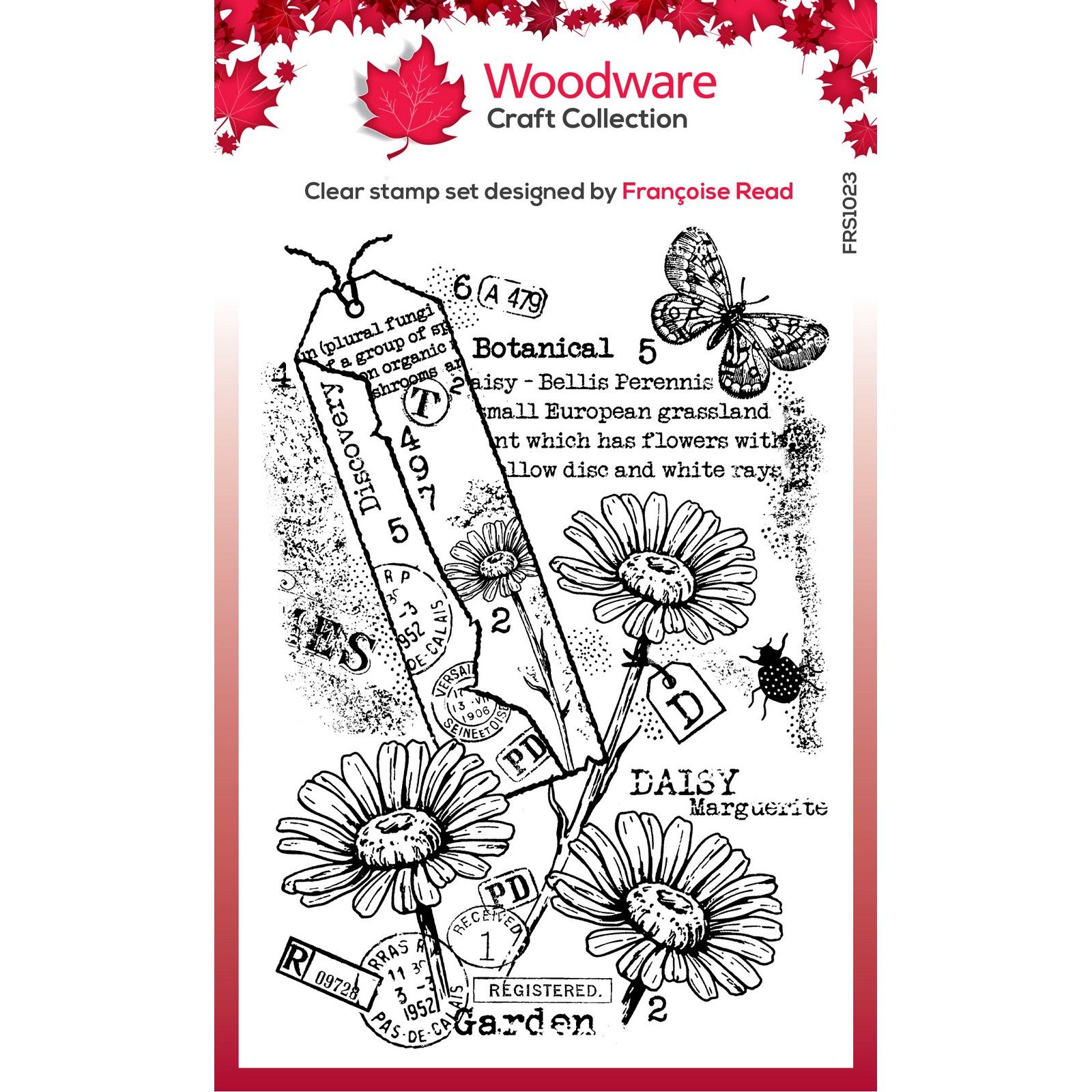 Woodware • Clear Singles Stamp Set Garden Daisies