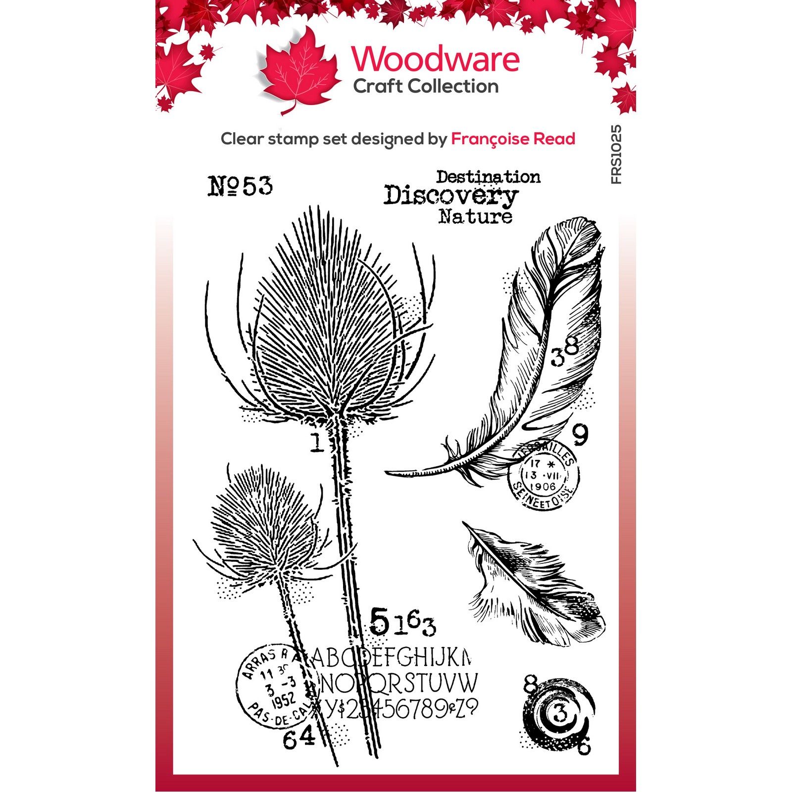 Woodware • Clear Singles Stamp Set Discovery