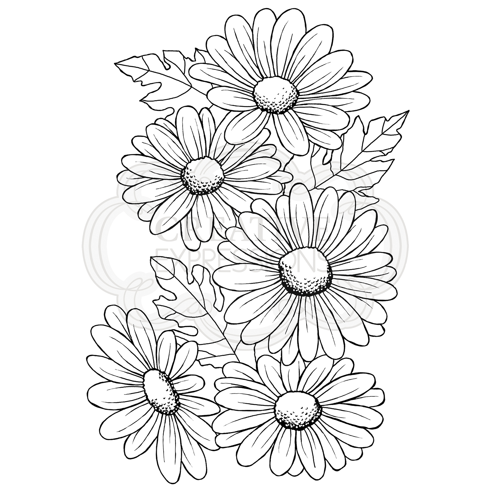 Woodware • Clear stamp Set Five Daisies