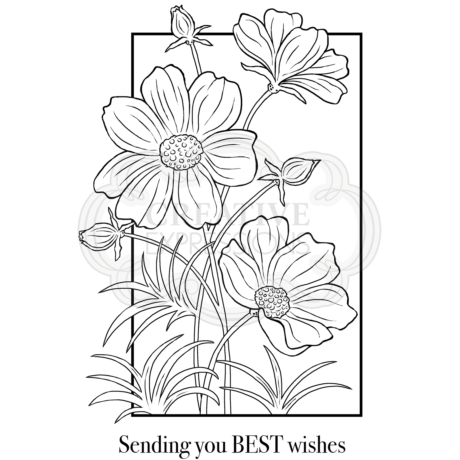 Woodware • Clear stamp Set Cosmos Collection