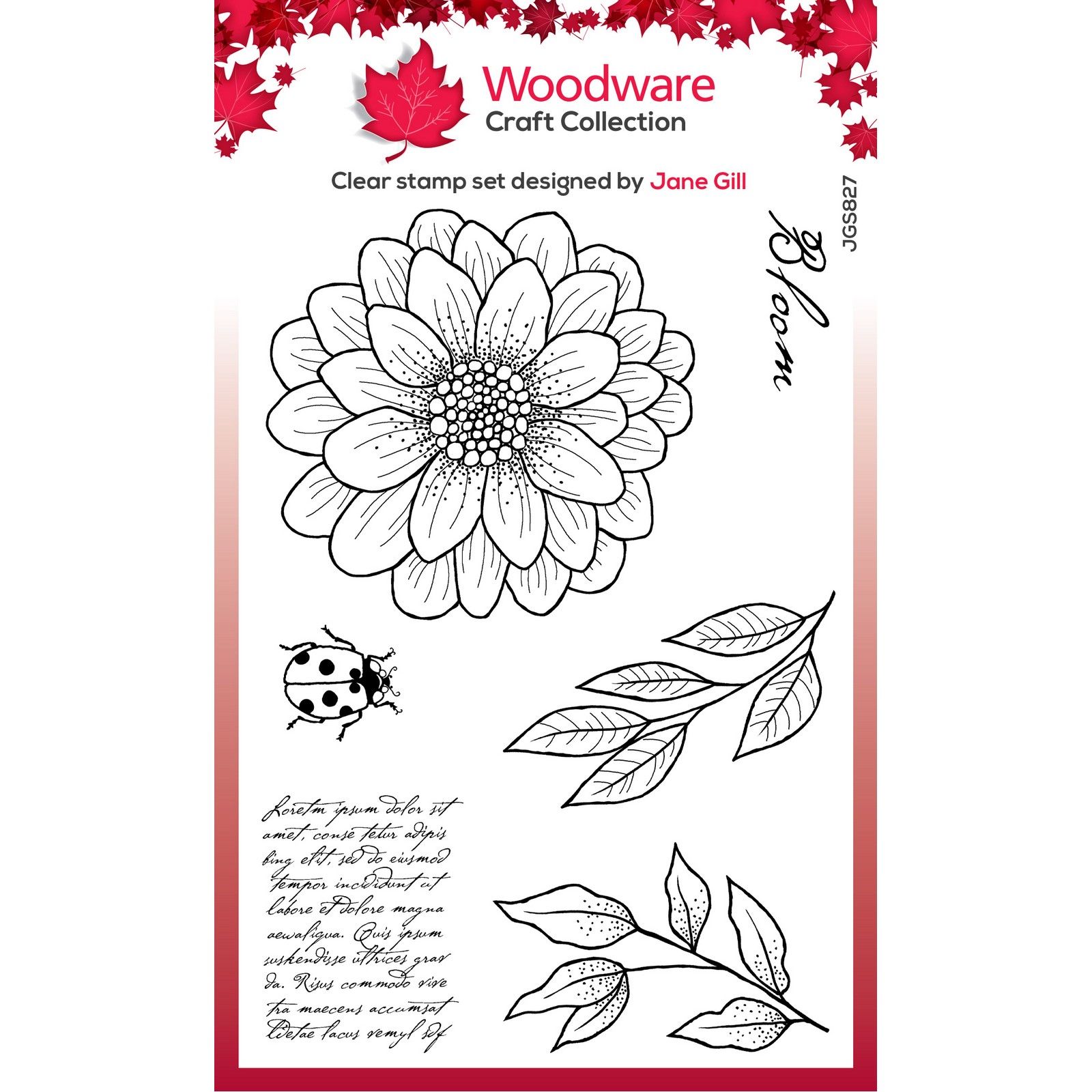 Woodware • Clear Singles Stamp Ditsy Daisy