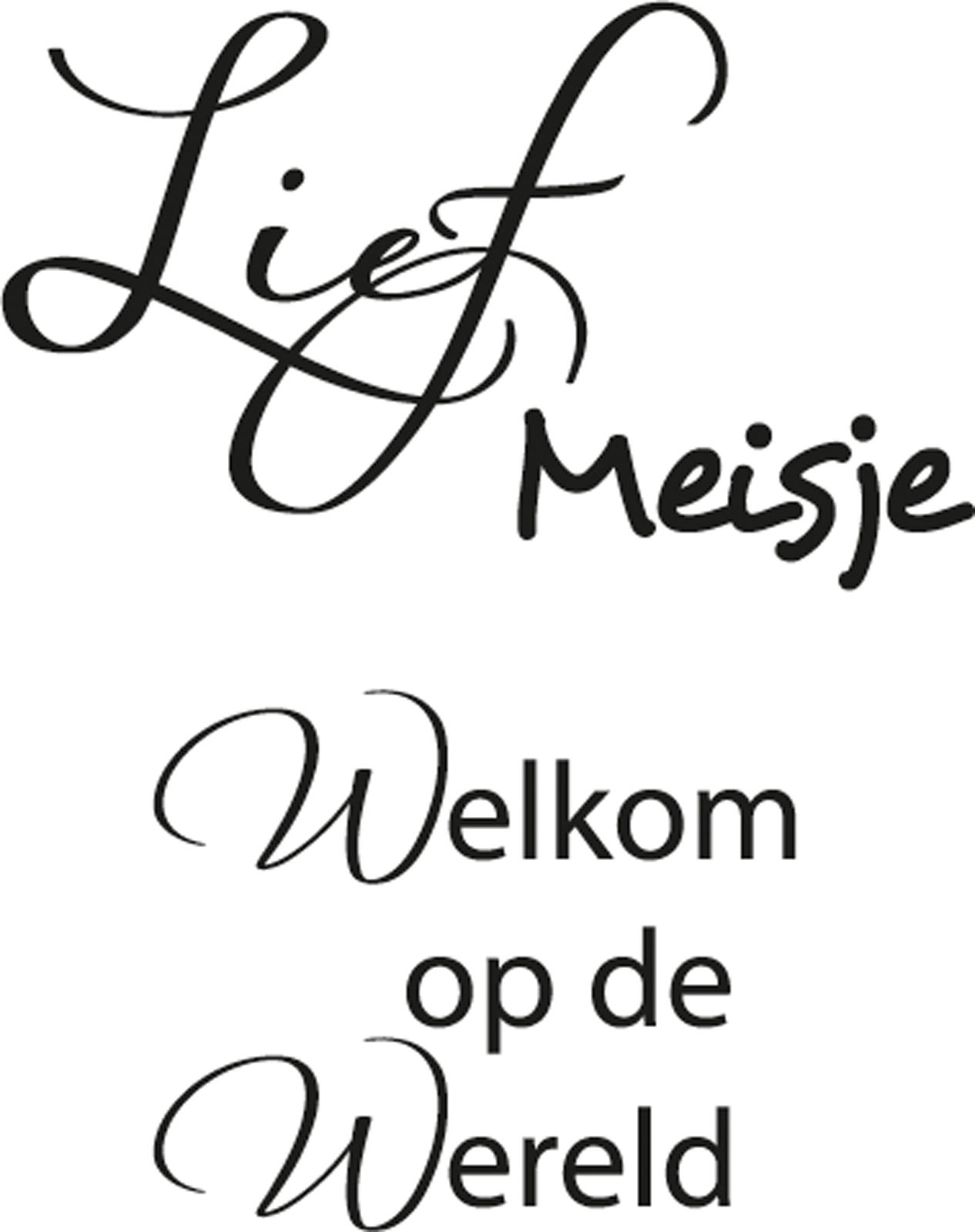 Marianne Design • Sello transparente en Neerlandés "Lief meisje welkom"