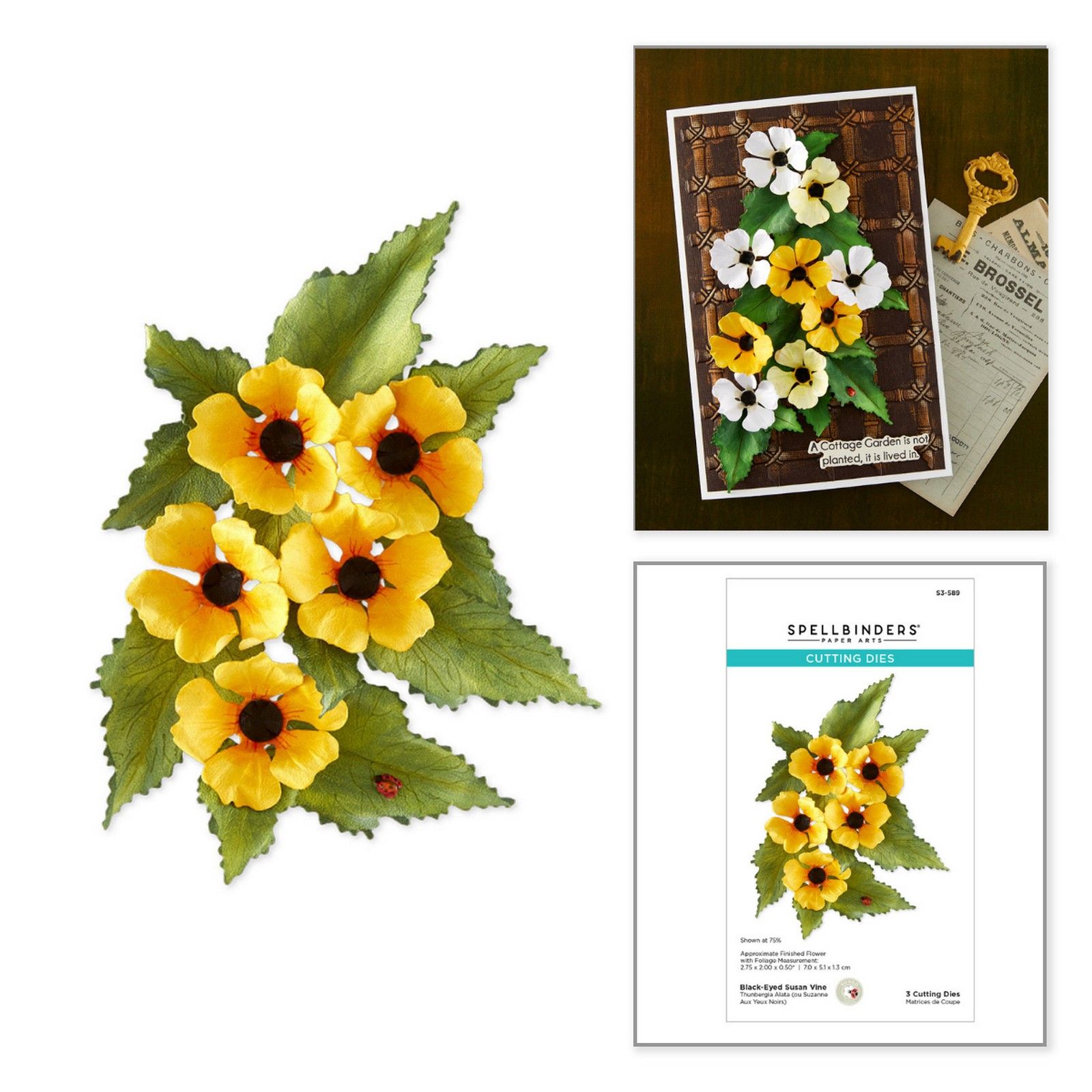 Spellbinders • Etched Dies Black Eyed-Susan Vine by Susan Tierney-Cockburn