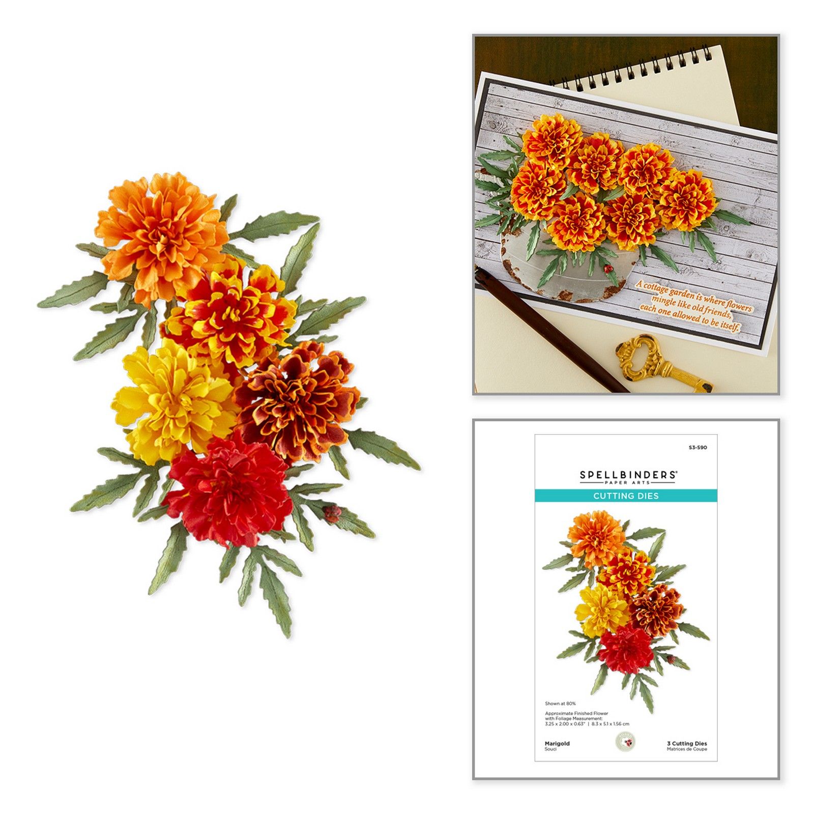 Spellbinders • Etched Dies Marigold by Susan Tierney-Cockburn
