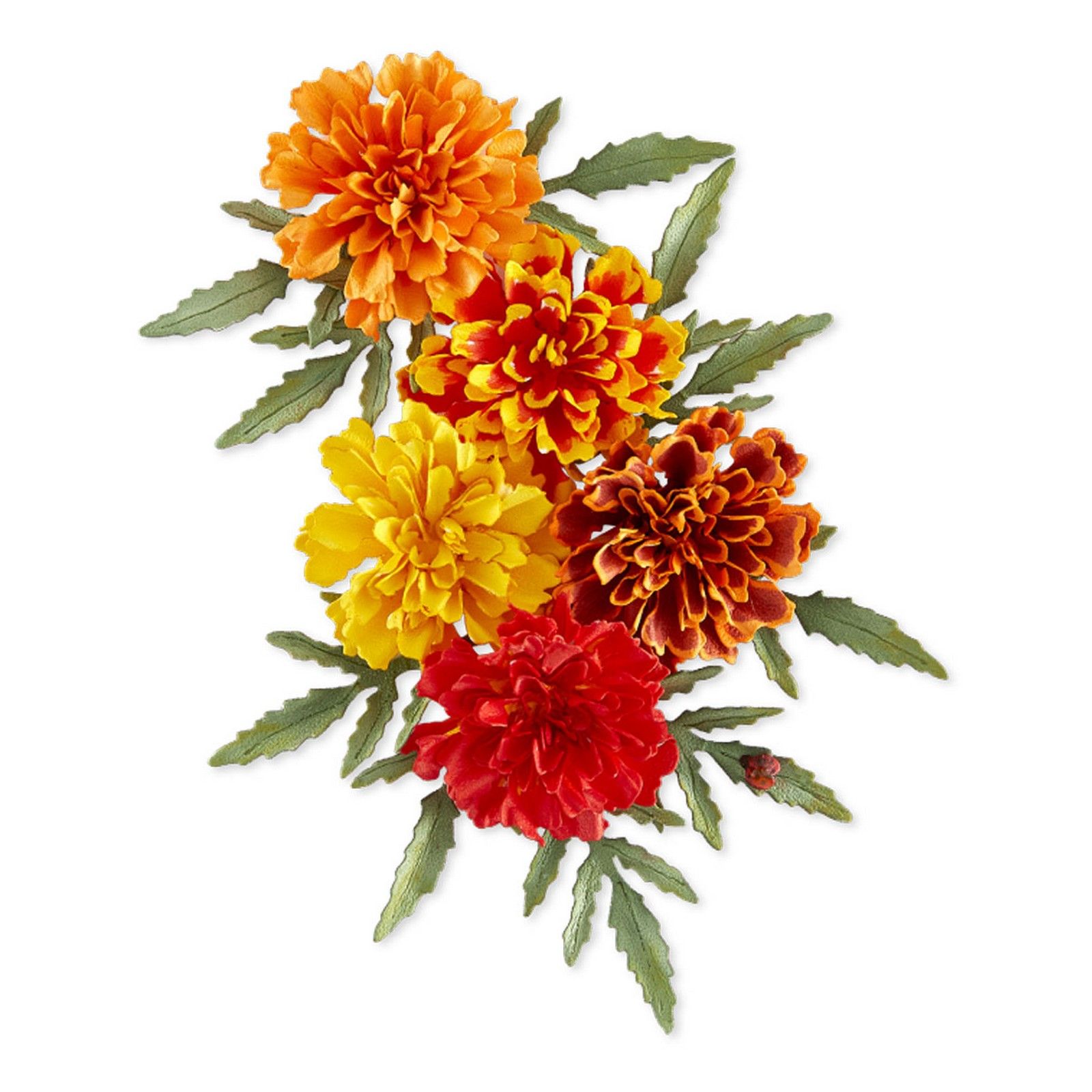 Spellbinders • Etched Dies Marigold by Susan Tierney-Cockburn