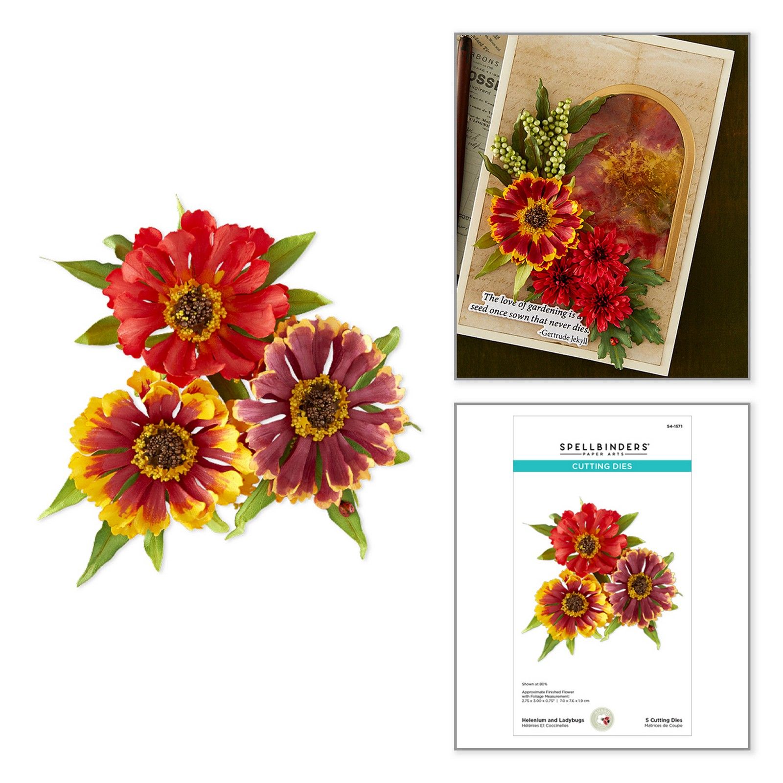 Spellbinders • Etched Dies Helenium and Ladybugs by Susan Tierney-Cockburn