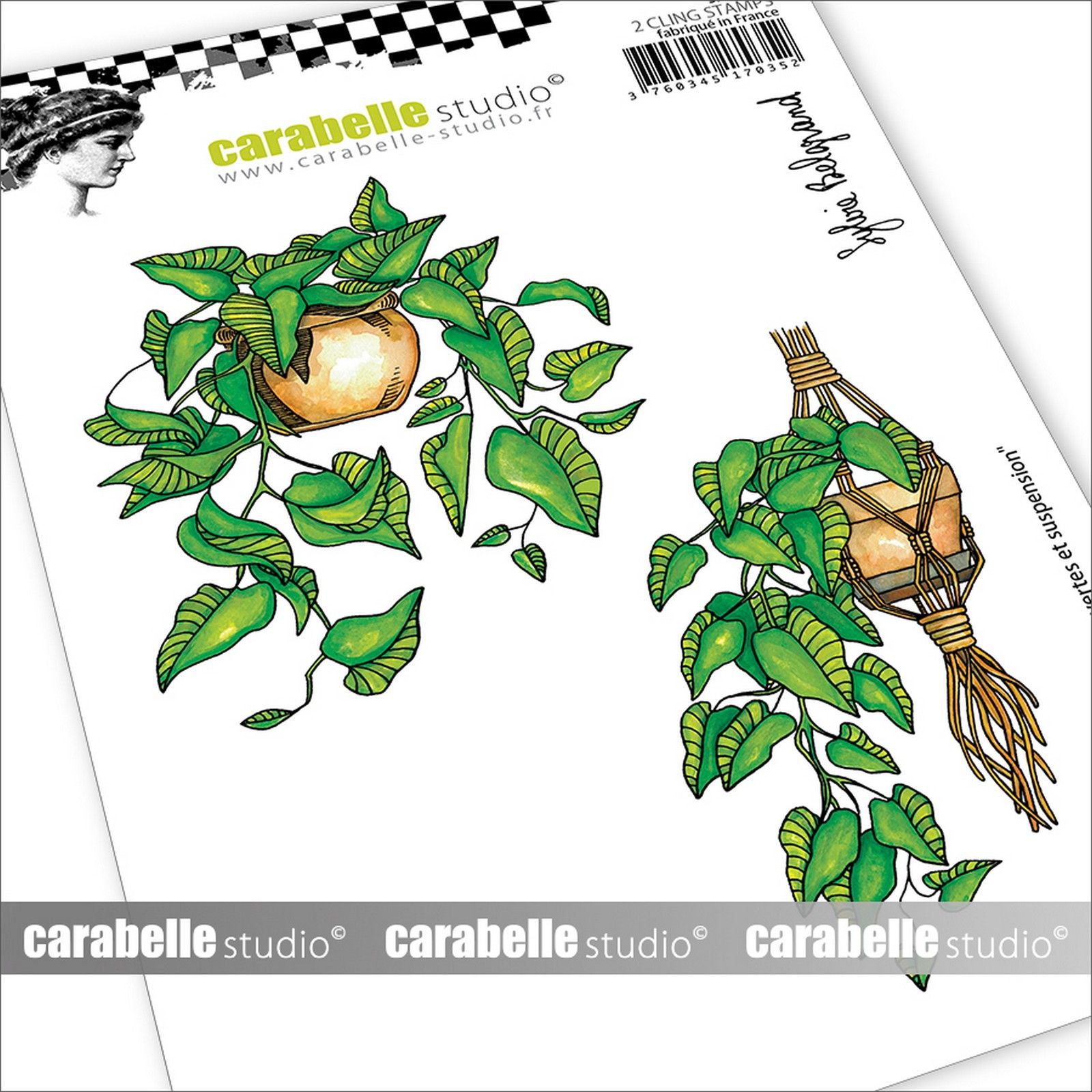 Carabelle Studio • Cling Stamps Plantes vertes et suspension A6