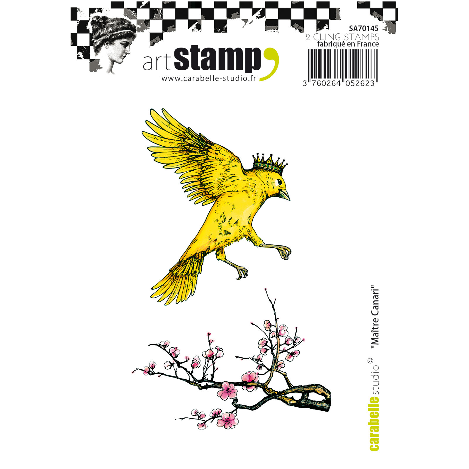 Carabelle Studio • Stamp A7 Maître Canari