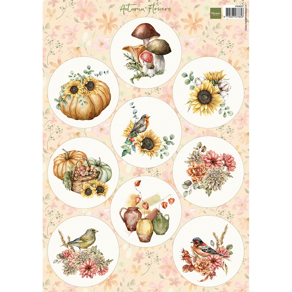 Product Image 0